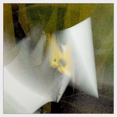 Light reverberations #17