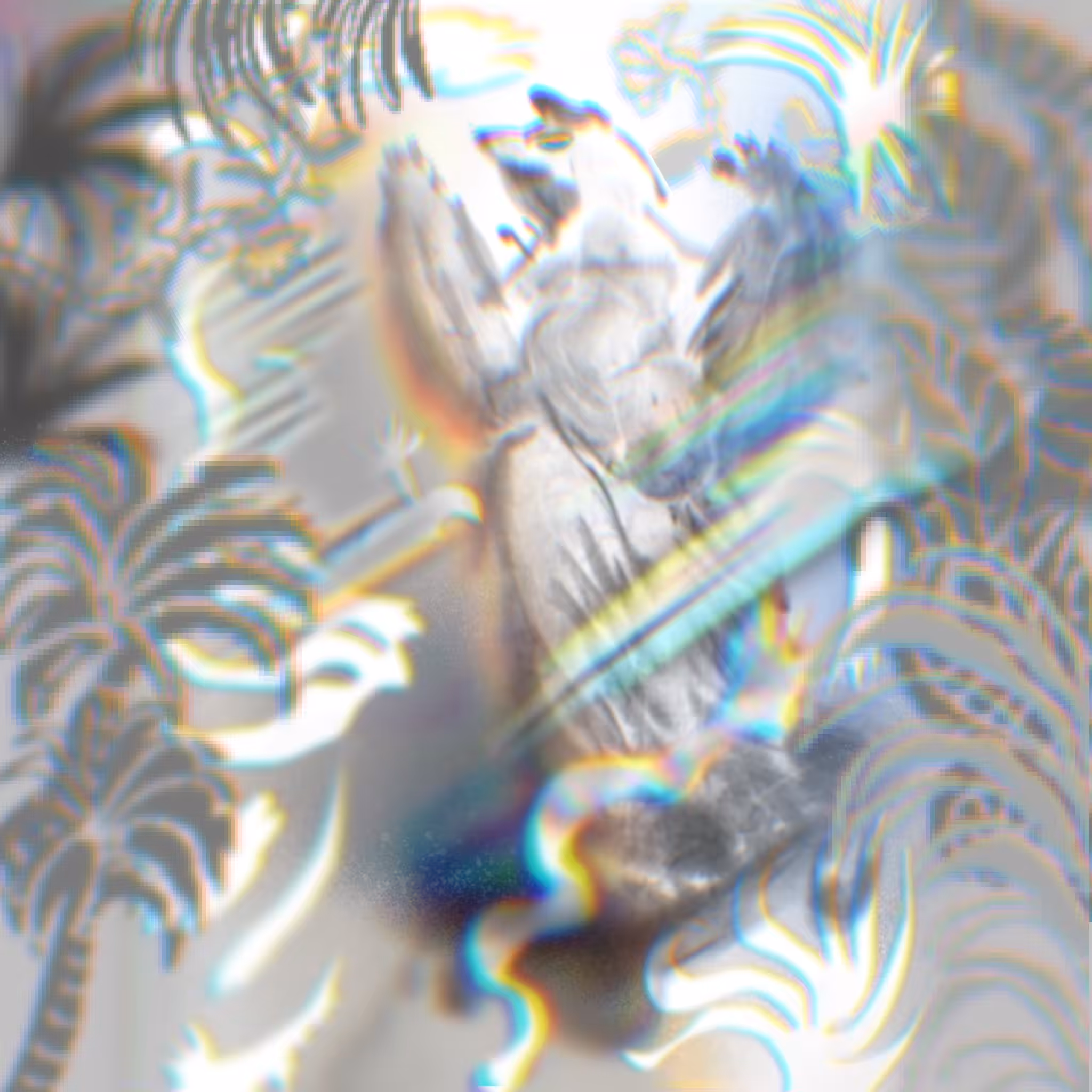 hello friends: skateboarding fox_1