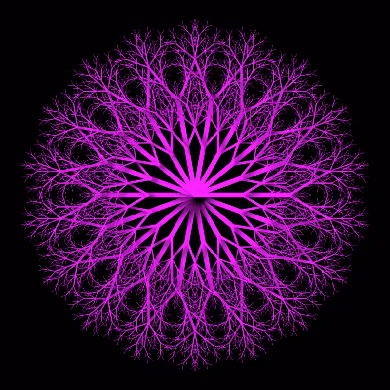 the progression of modern flowers #115