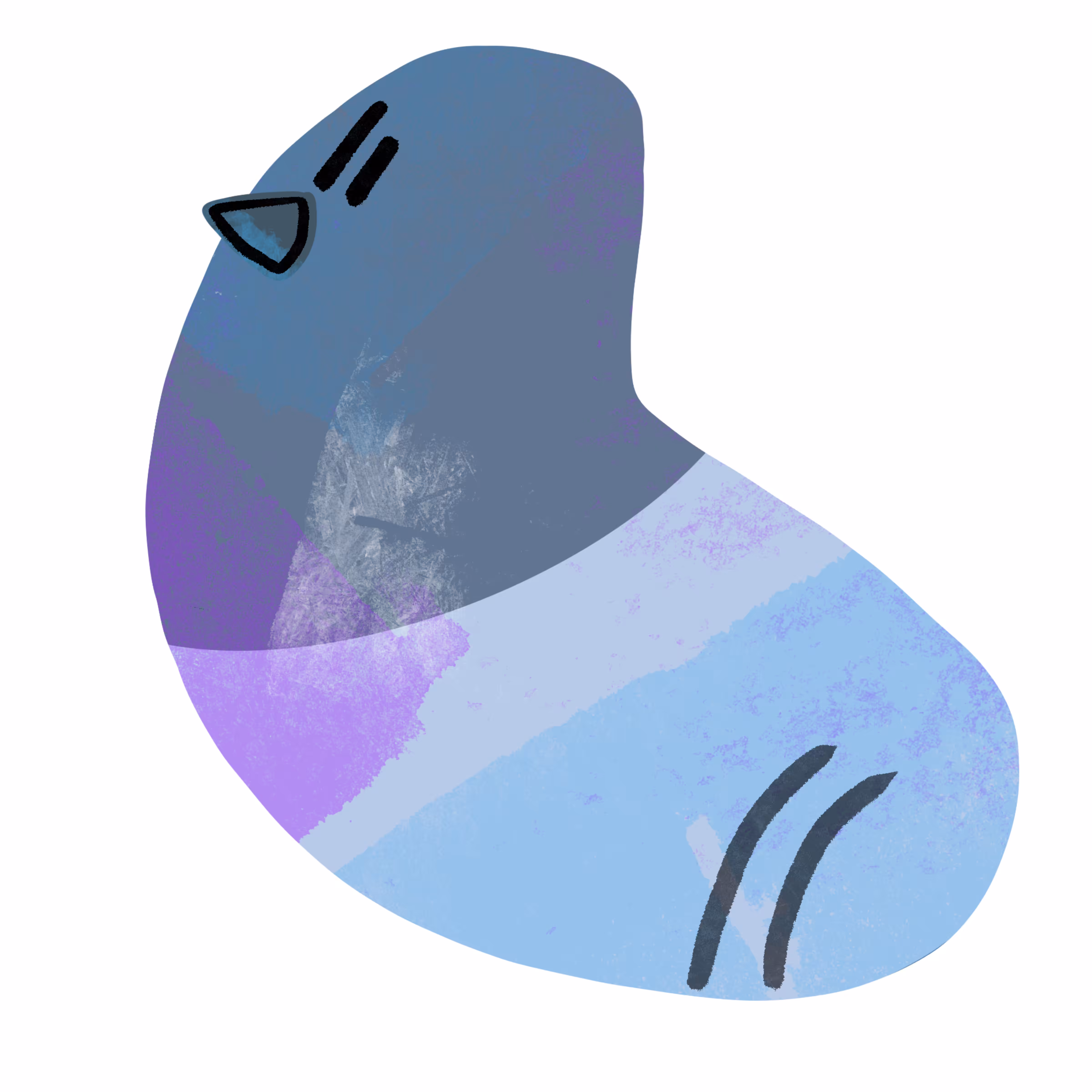 Just a Pigeon!!