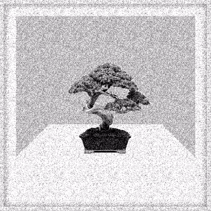 Bonsai Bonanza #96