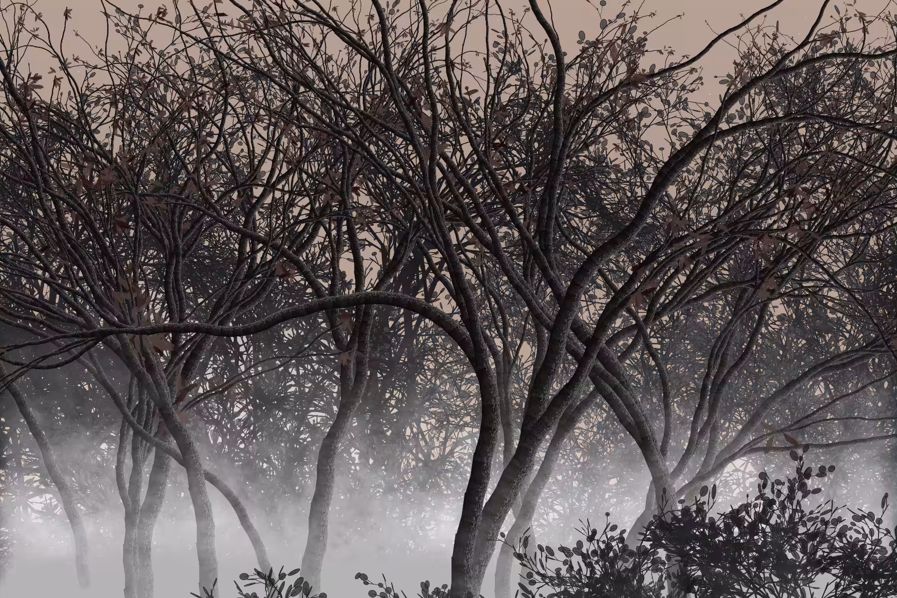 Morning Mist #236
