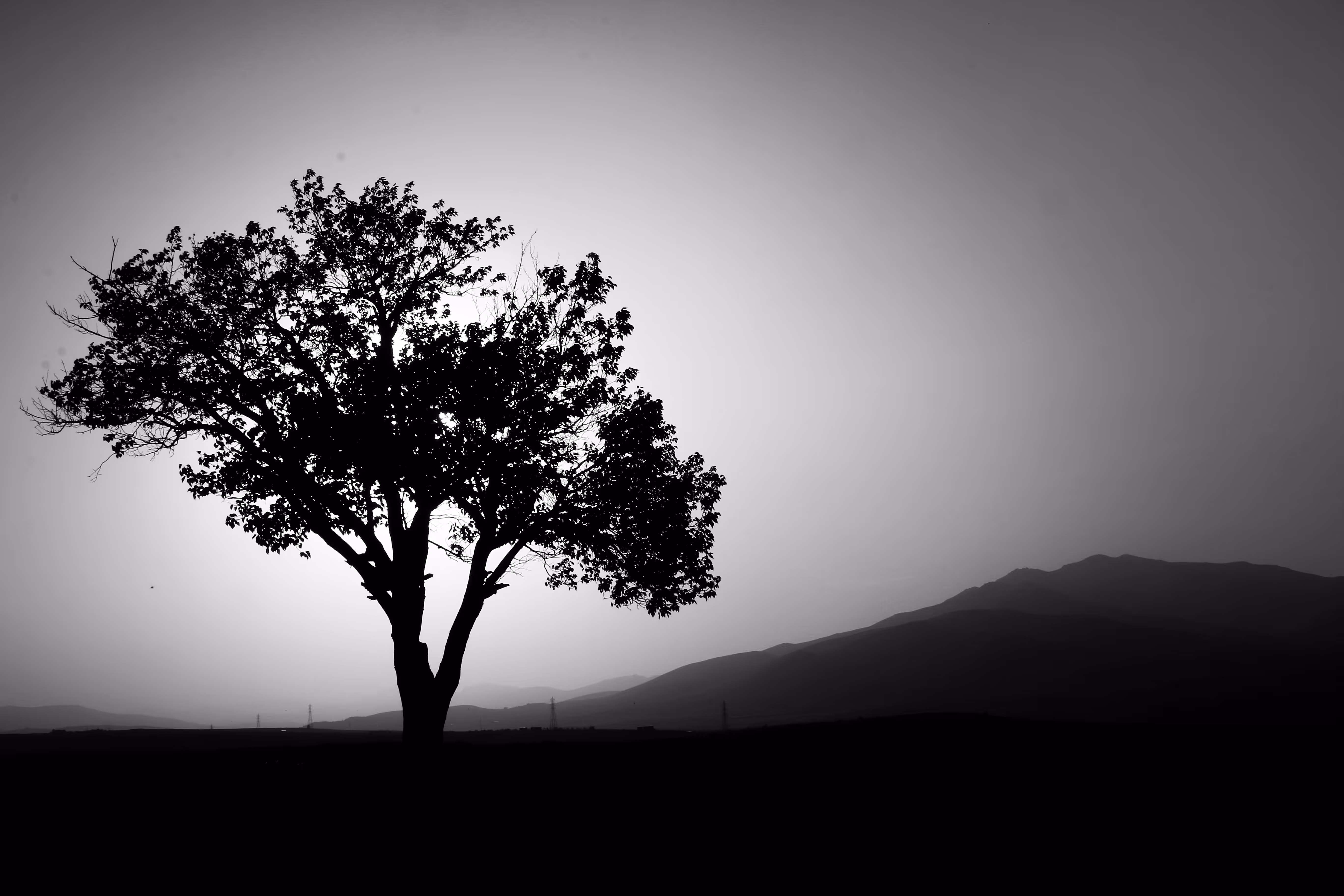 Daybreak