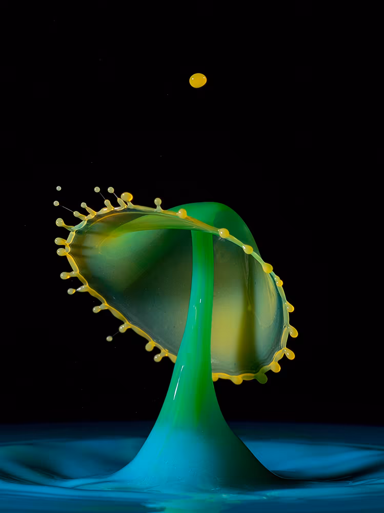Liquid mushroom