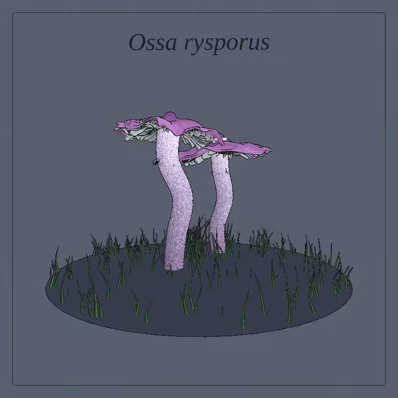 SHROOMS 3D #42