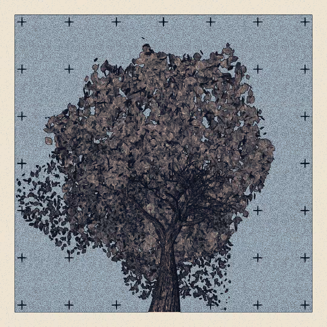 _argania[primaria] #132