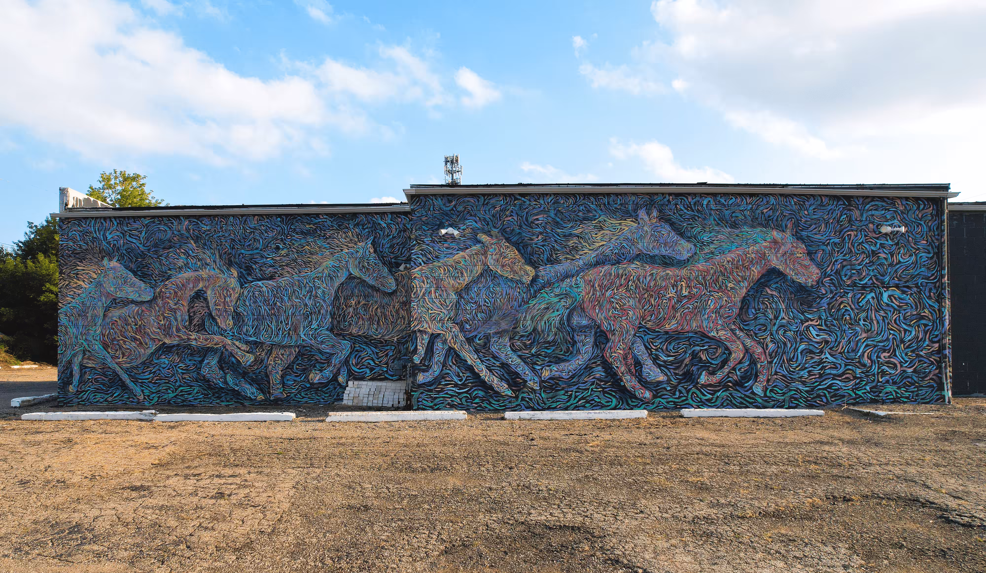 Flint Finished Wall - Wild Horses!