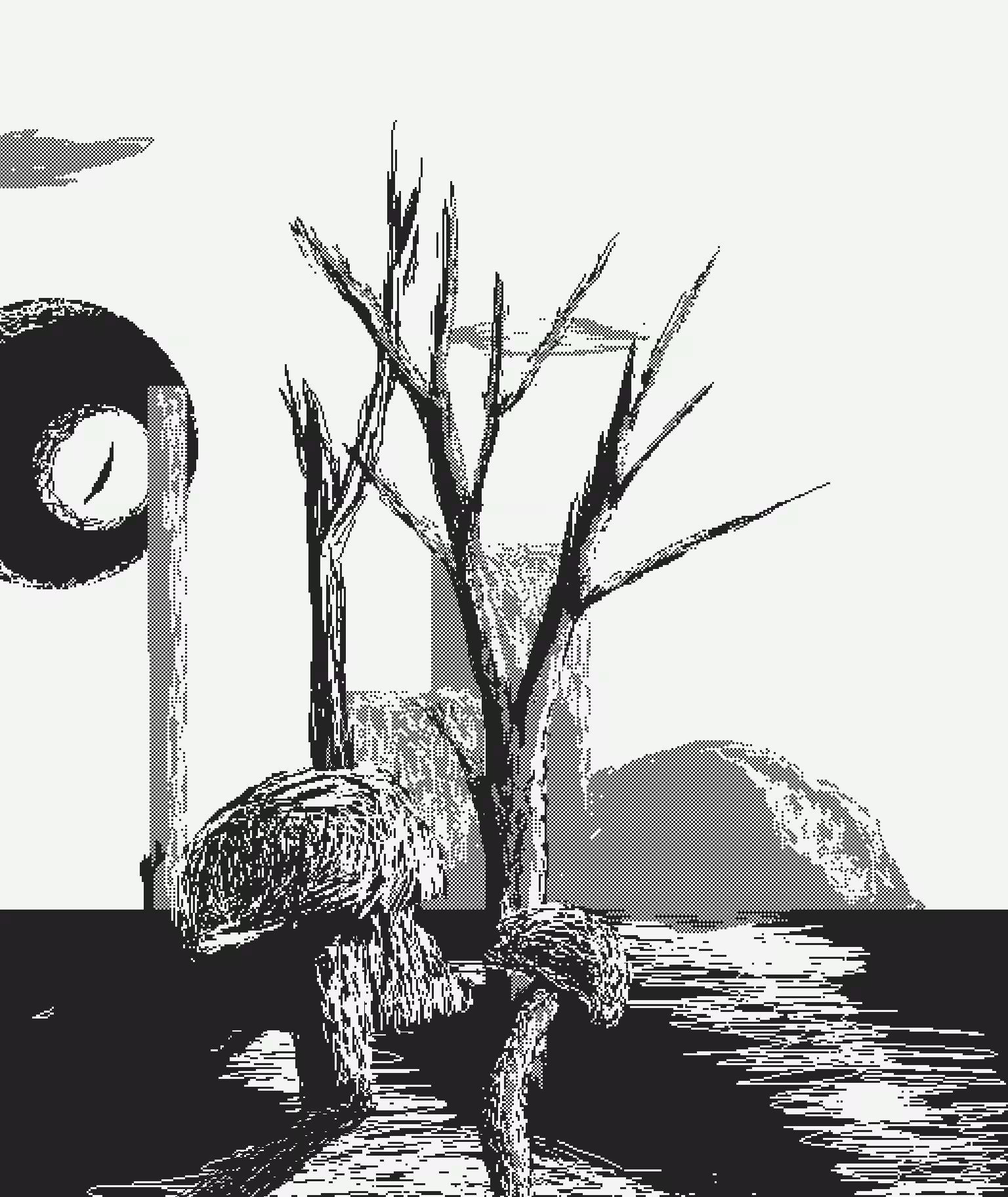 1Bit Fields #46