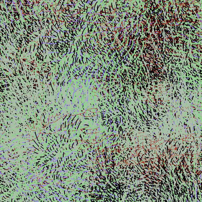 a bird worked on my painting #10