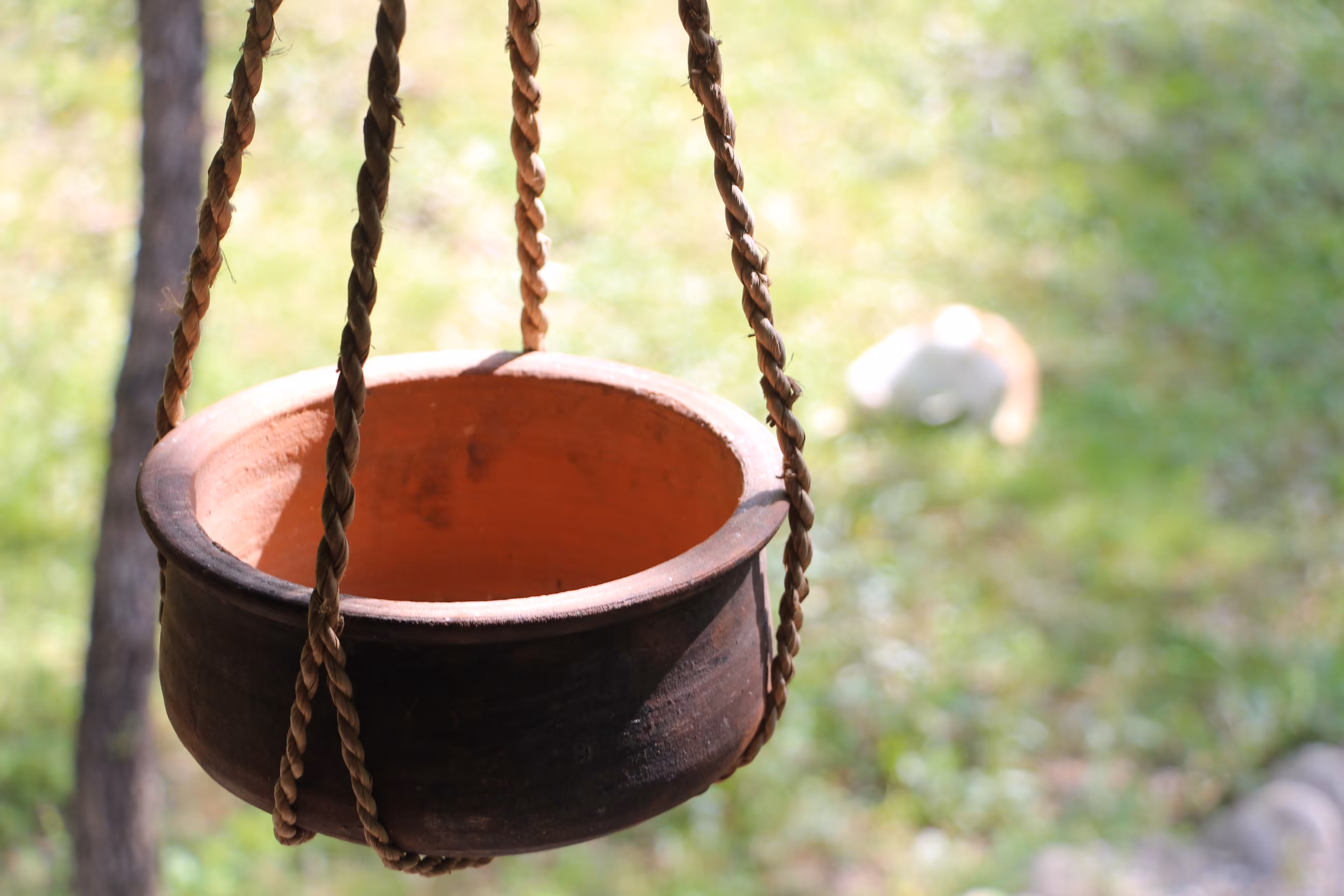 the clay pot