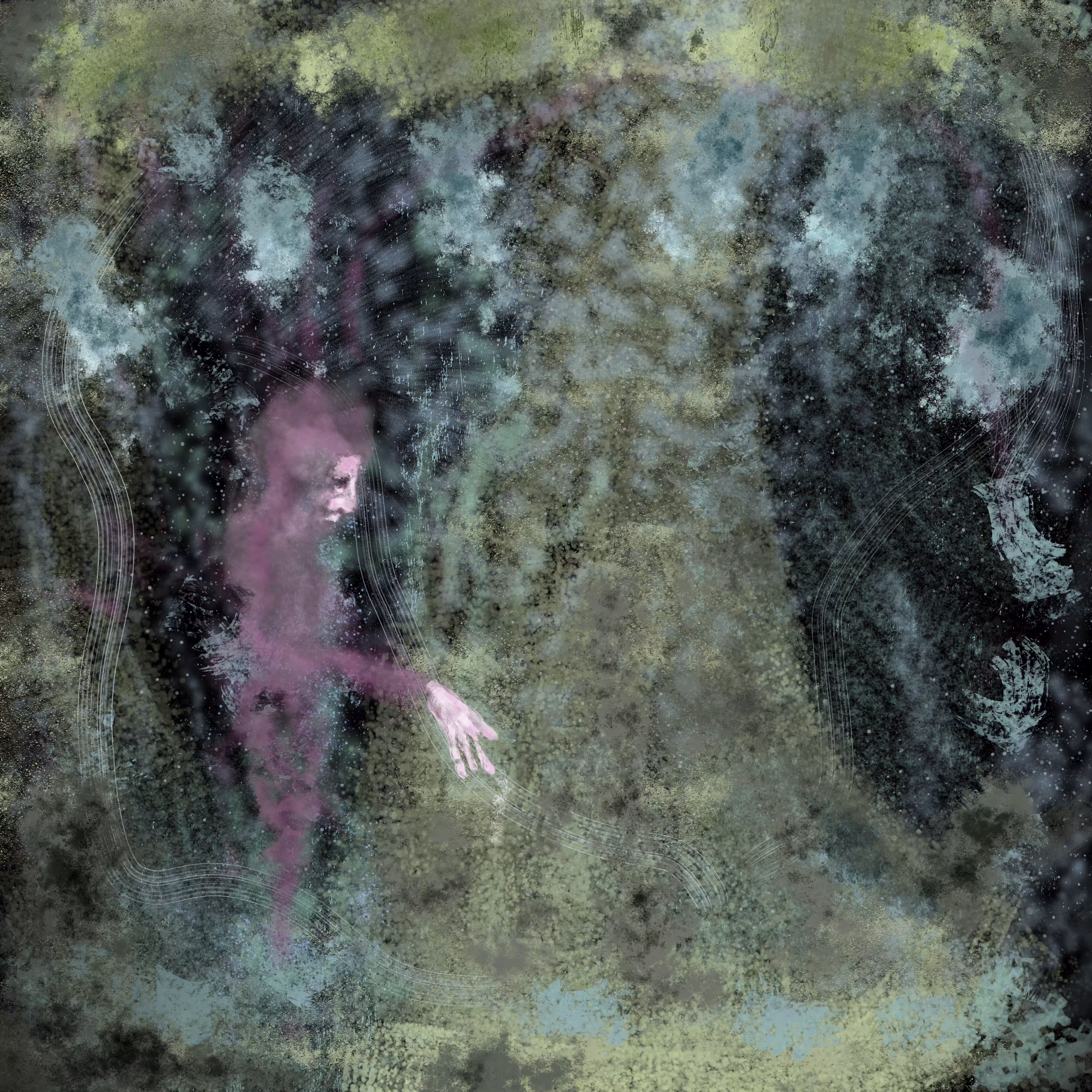 Tundra Nocturna