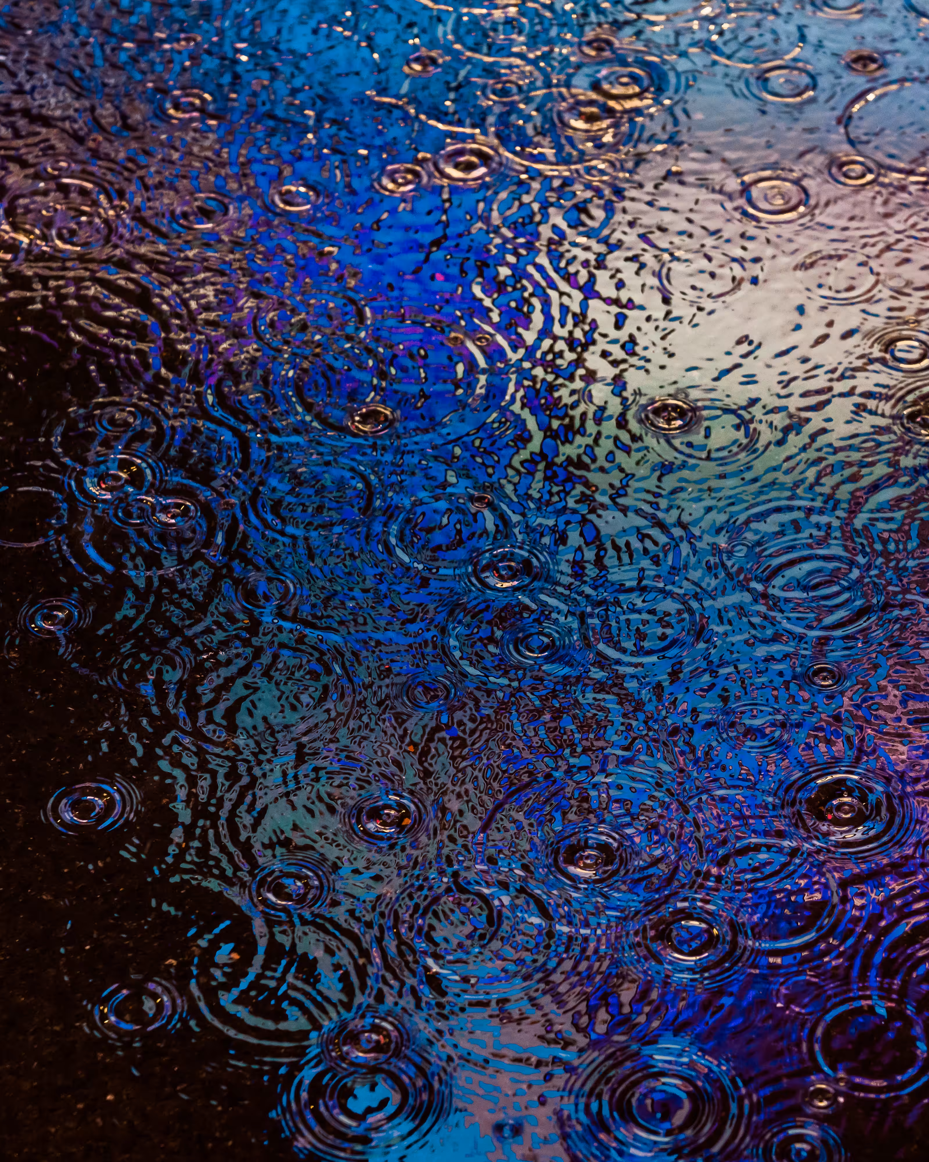 DRIP DROP: DRIP #567