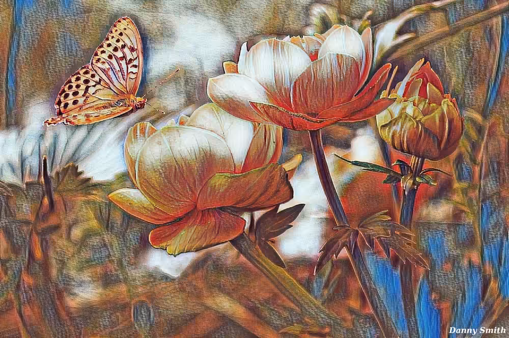 Thoughts of a Butterfly
