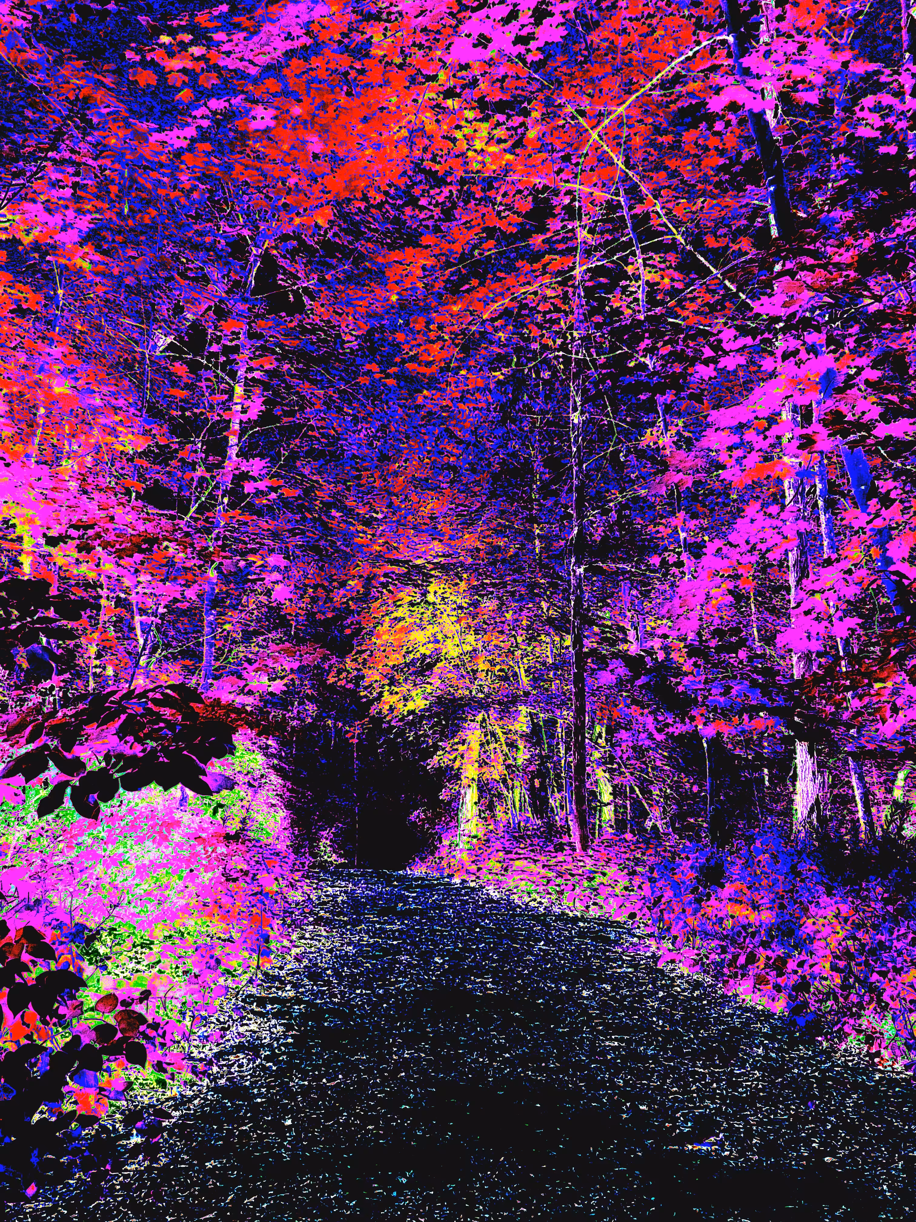 Passage #1