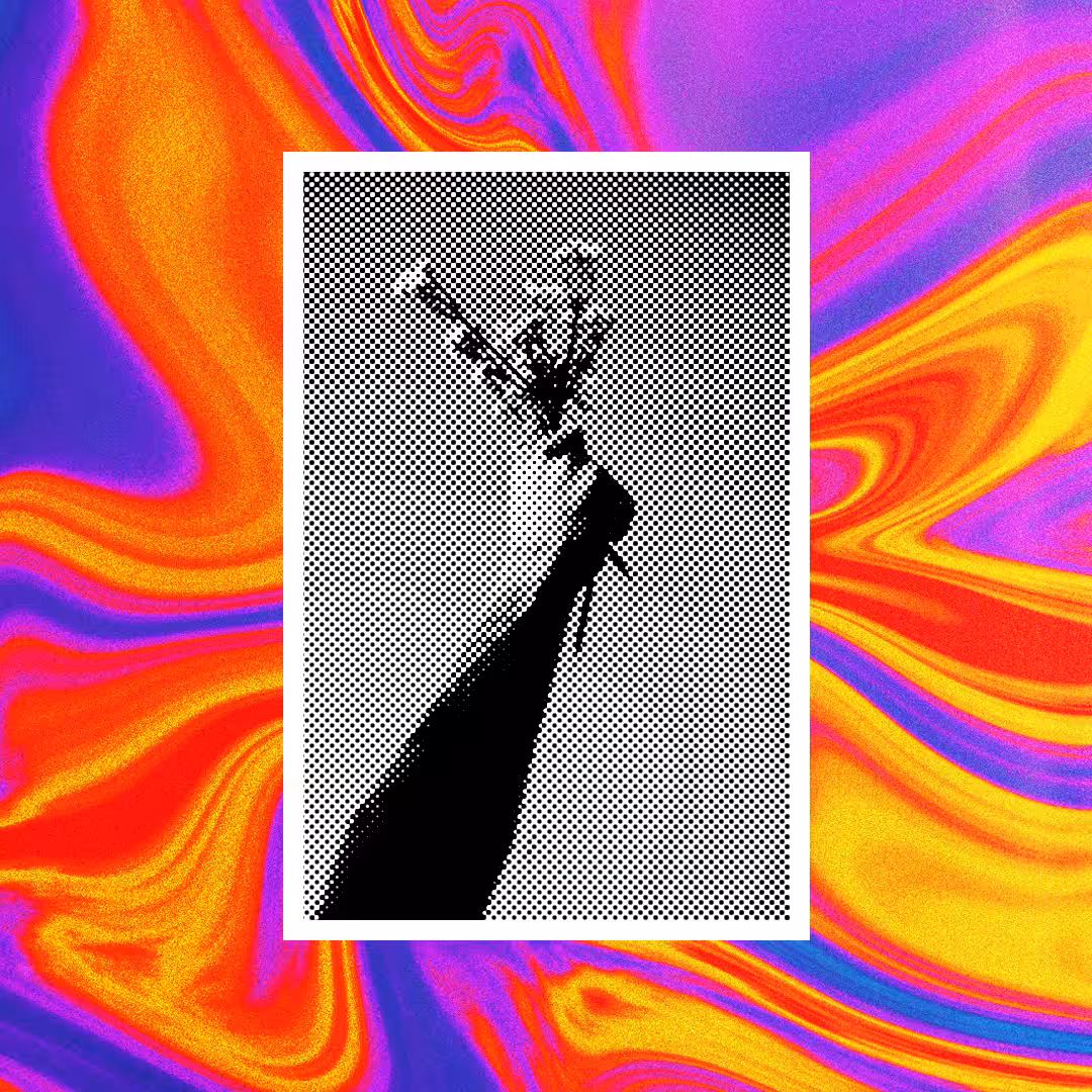 Give Me Flowers