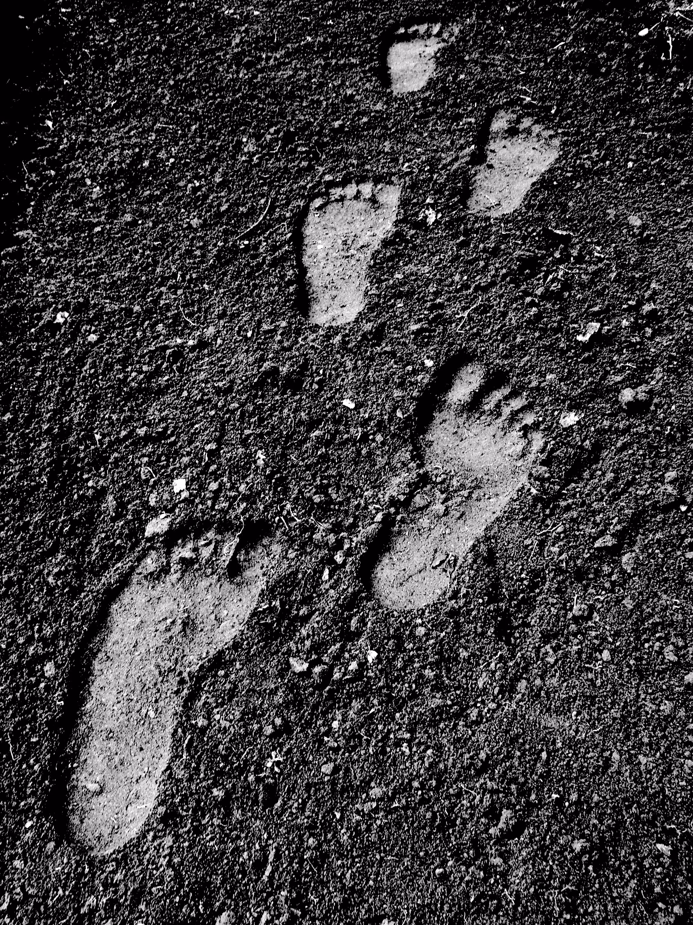 ️Footprint