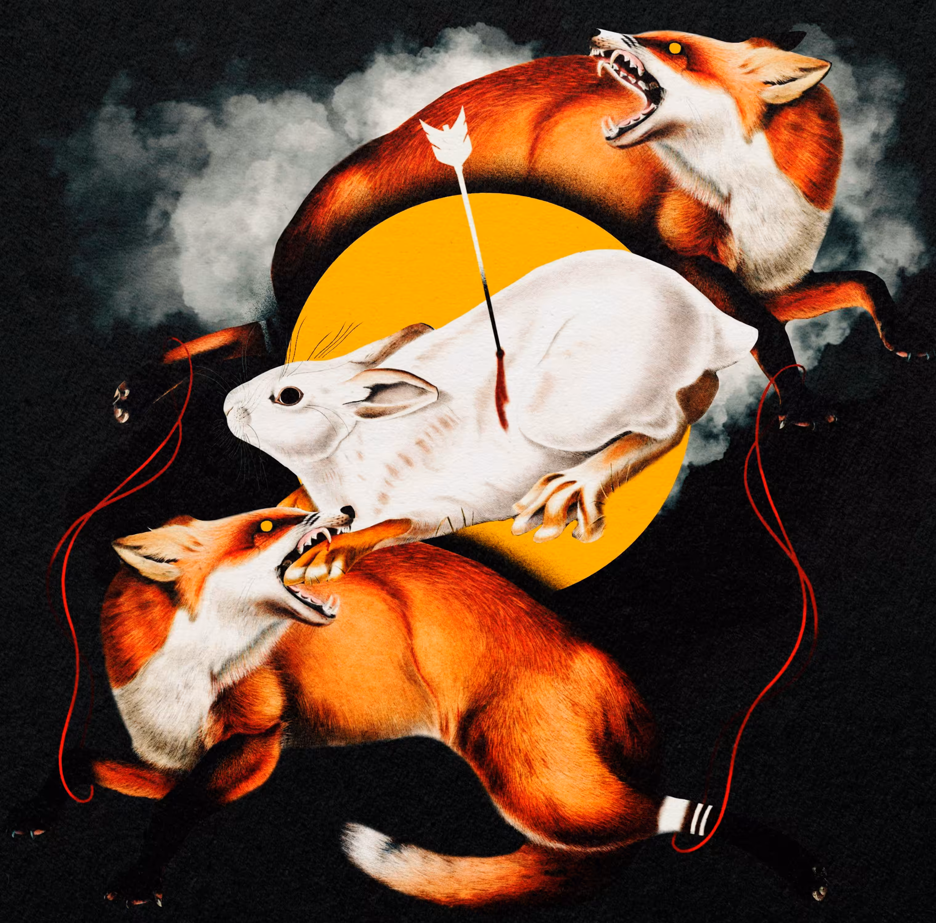 White-rabbit