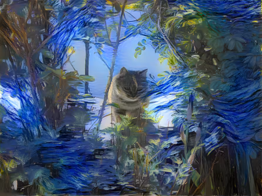  my cat friend