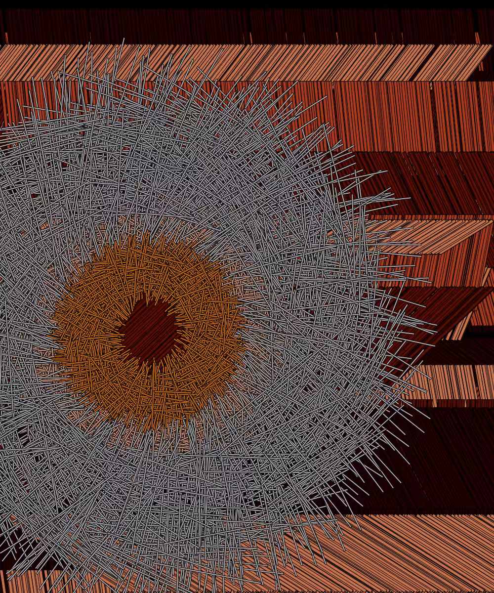 Shavings #55