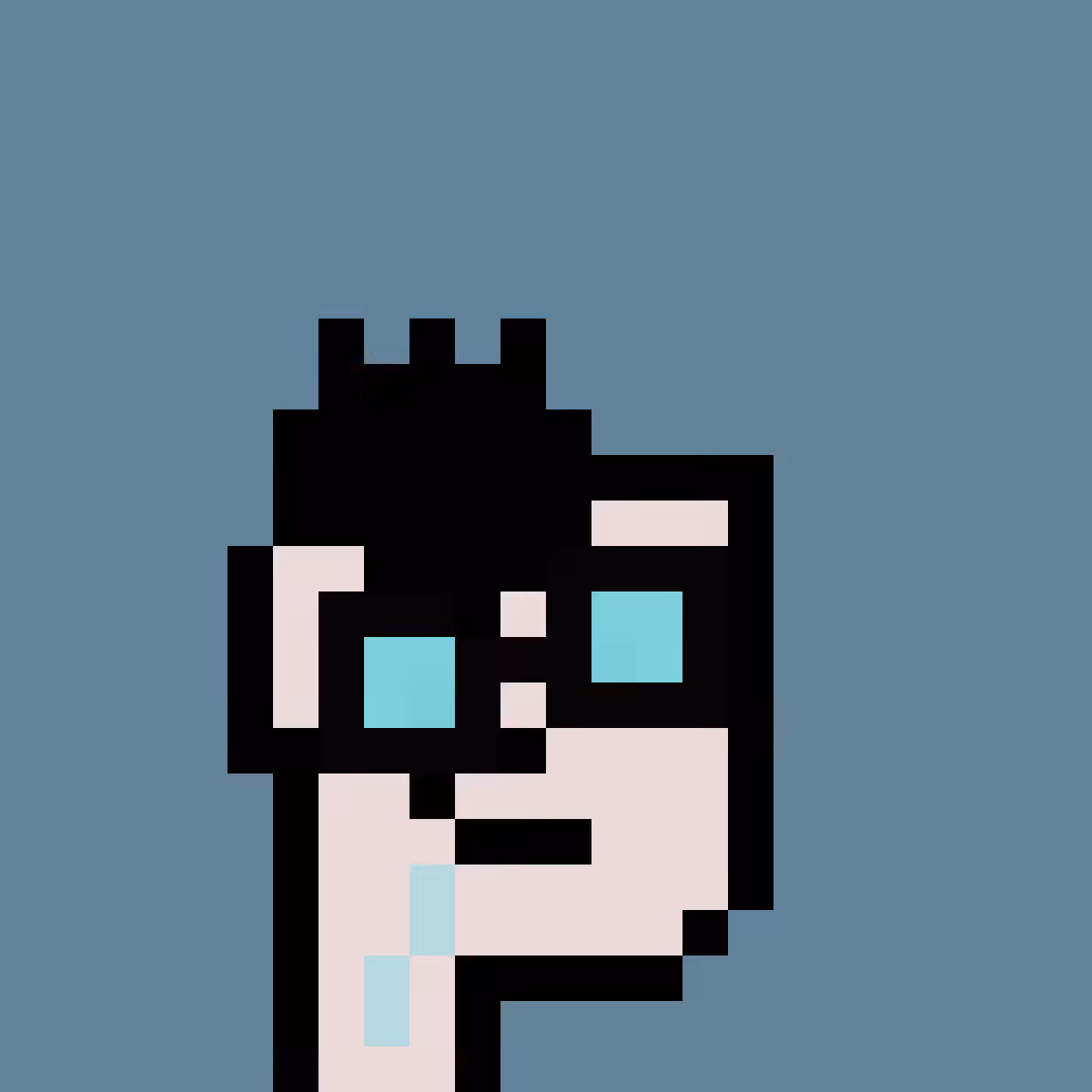 PNUKS #1471
