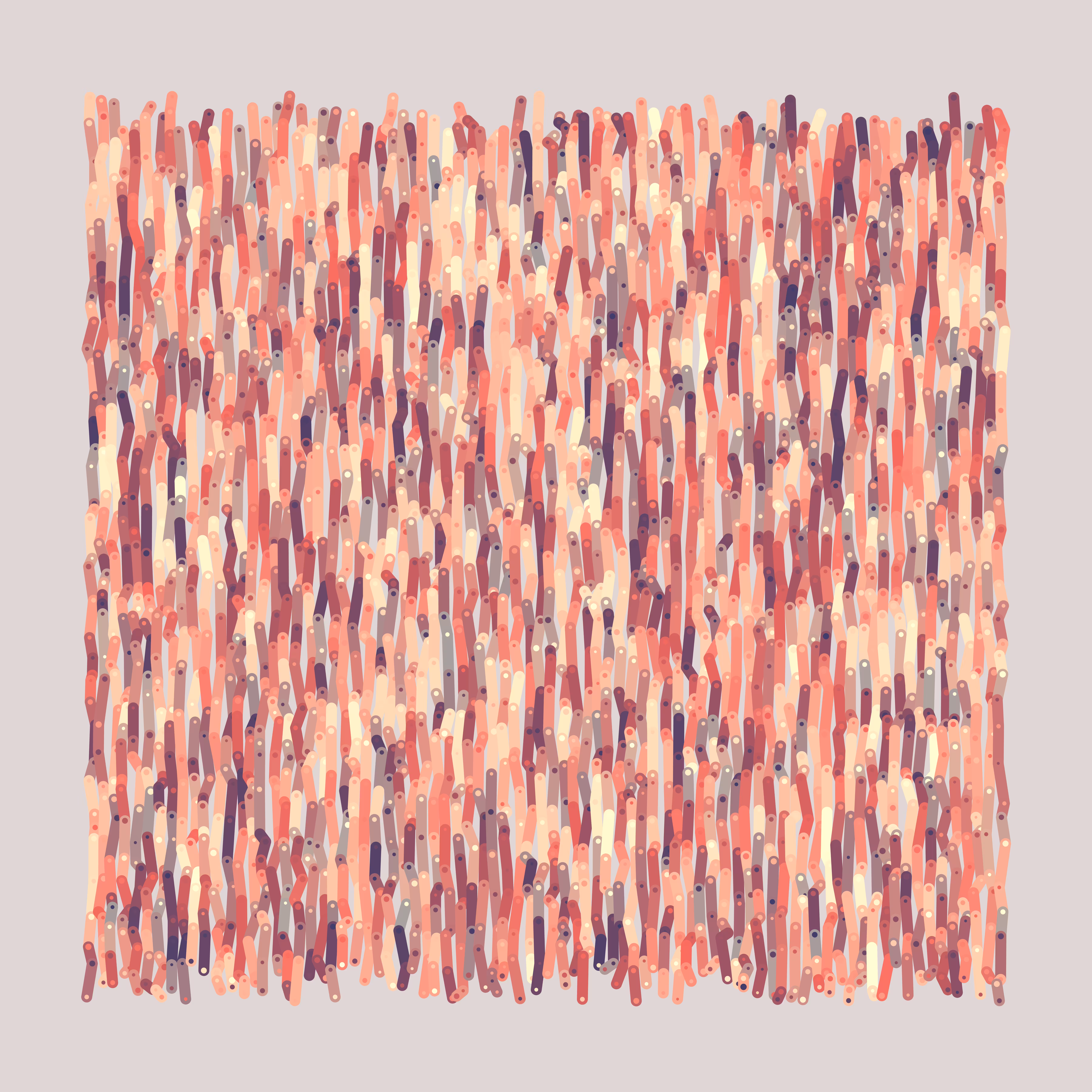 Bicycles - Vivid Tangerine