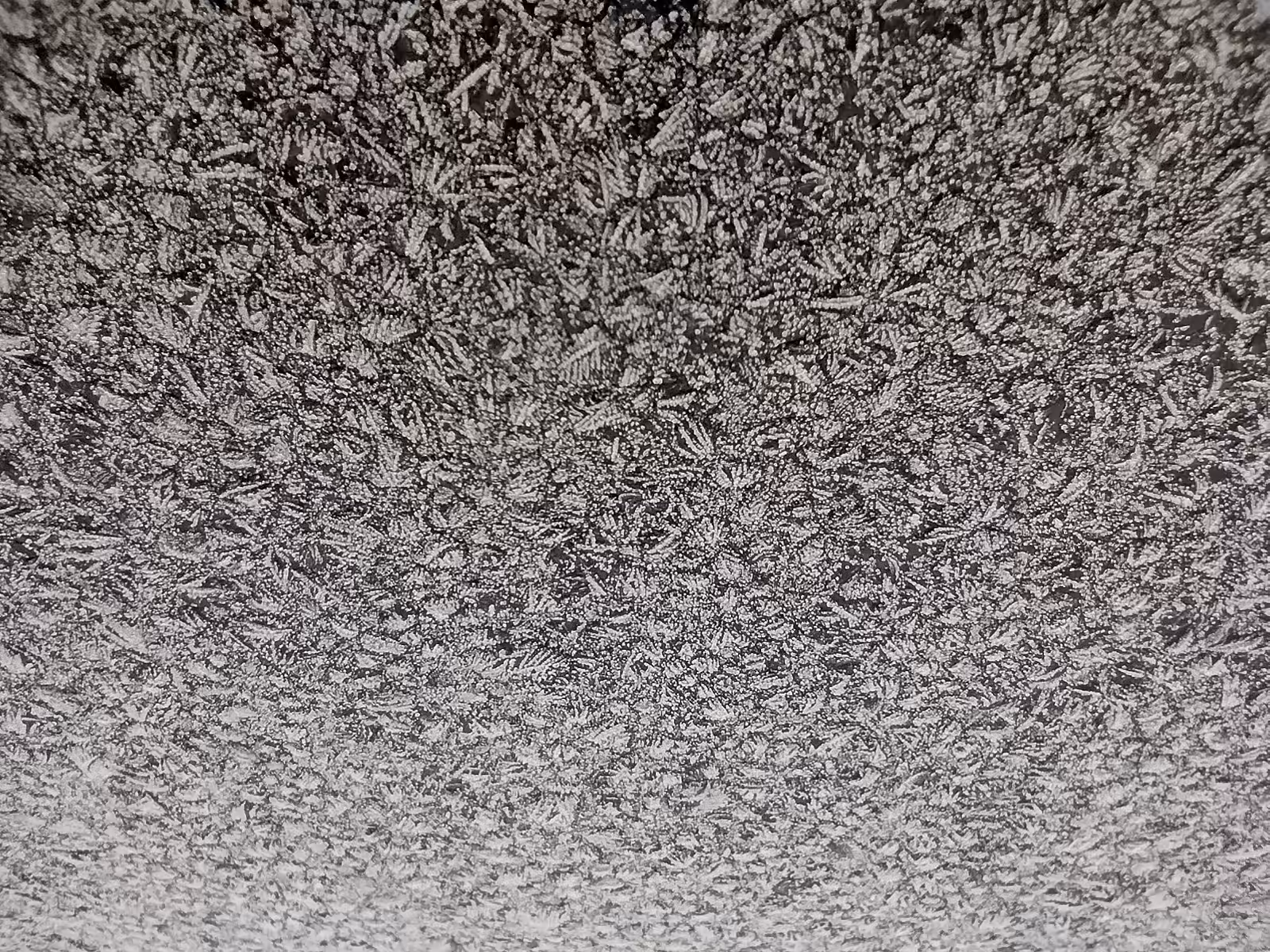 Frosty Morning