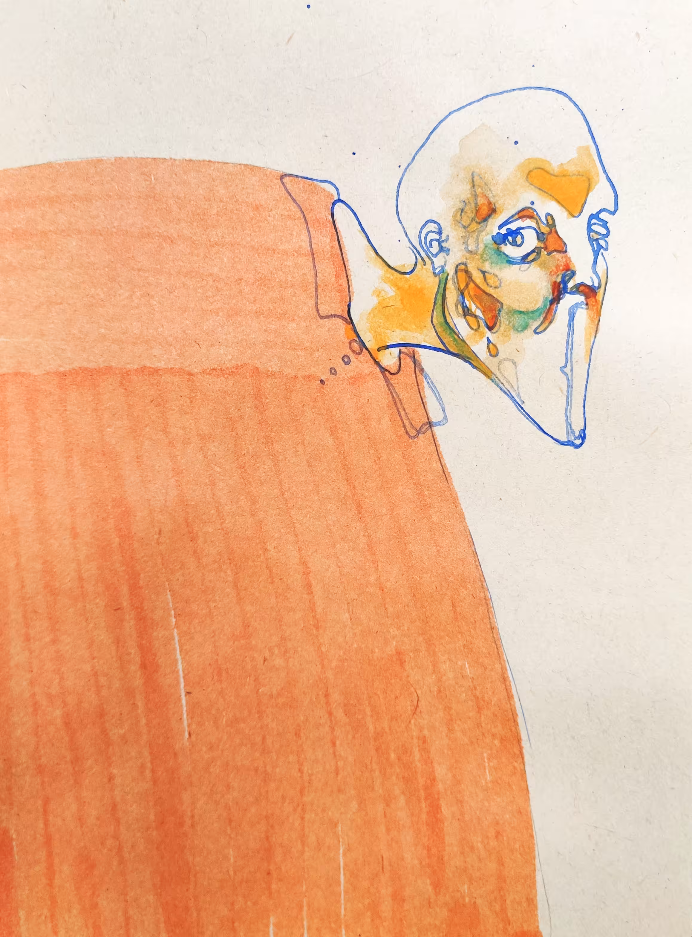 orangeolus