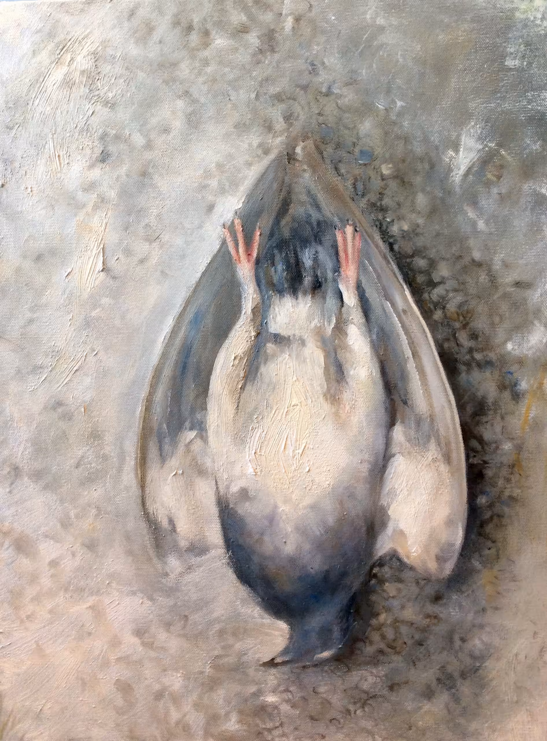 Pigeon Becoming 2