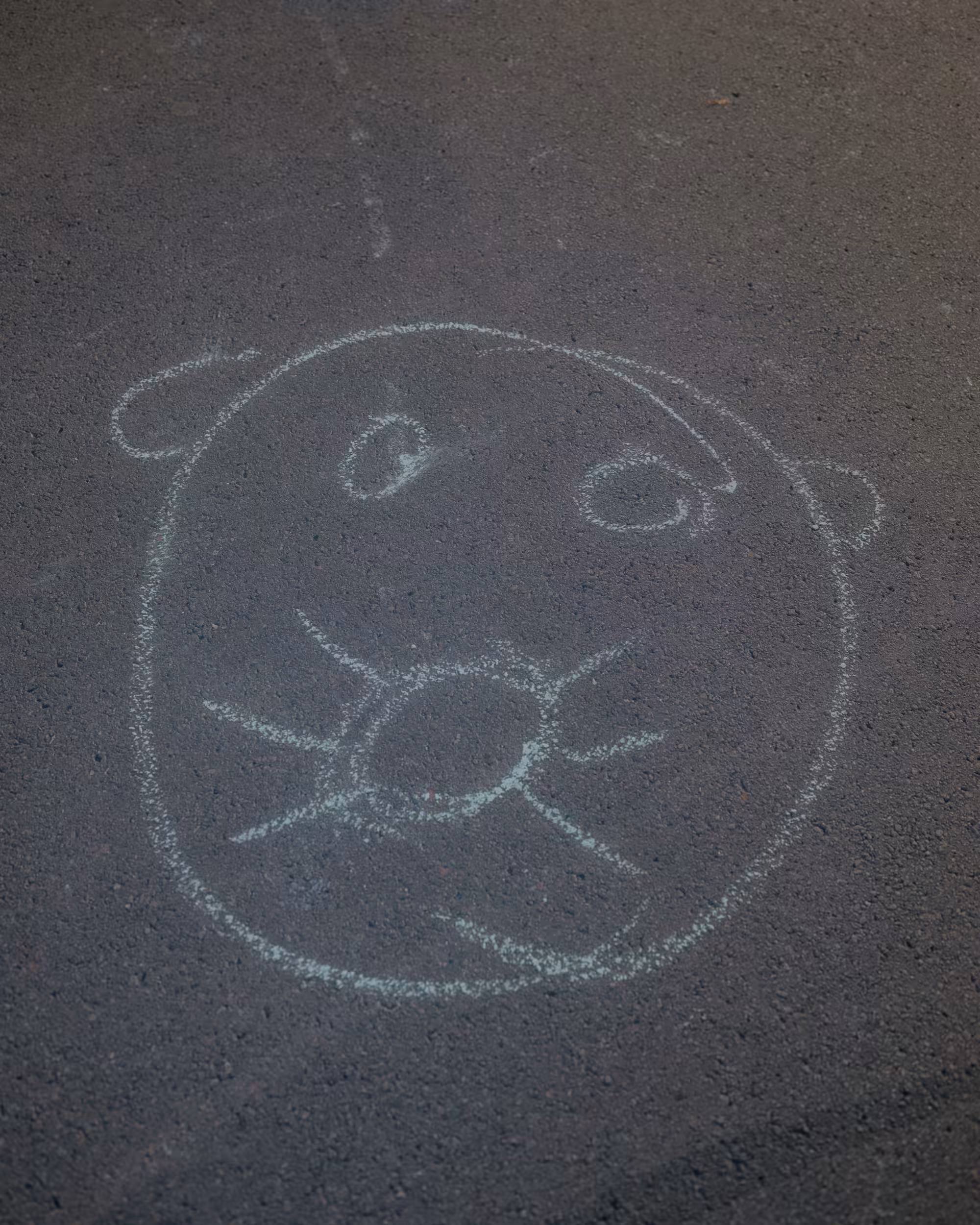 PhotoFilePhrens #29