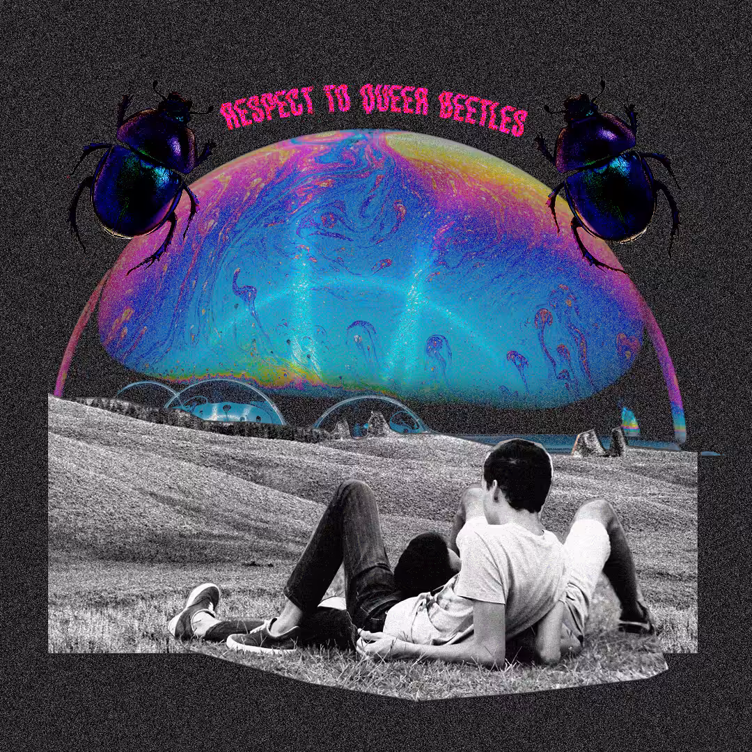 Queer Beetle