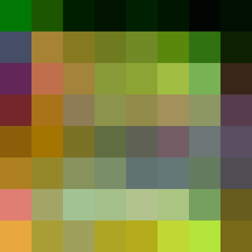 Self_Portrait_002.mp4