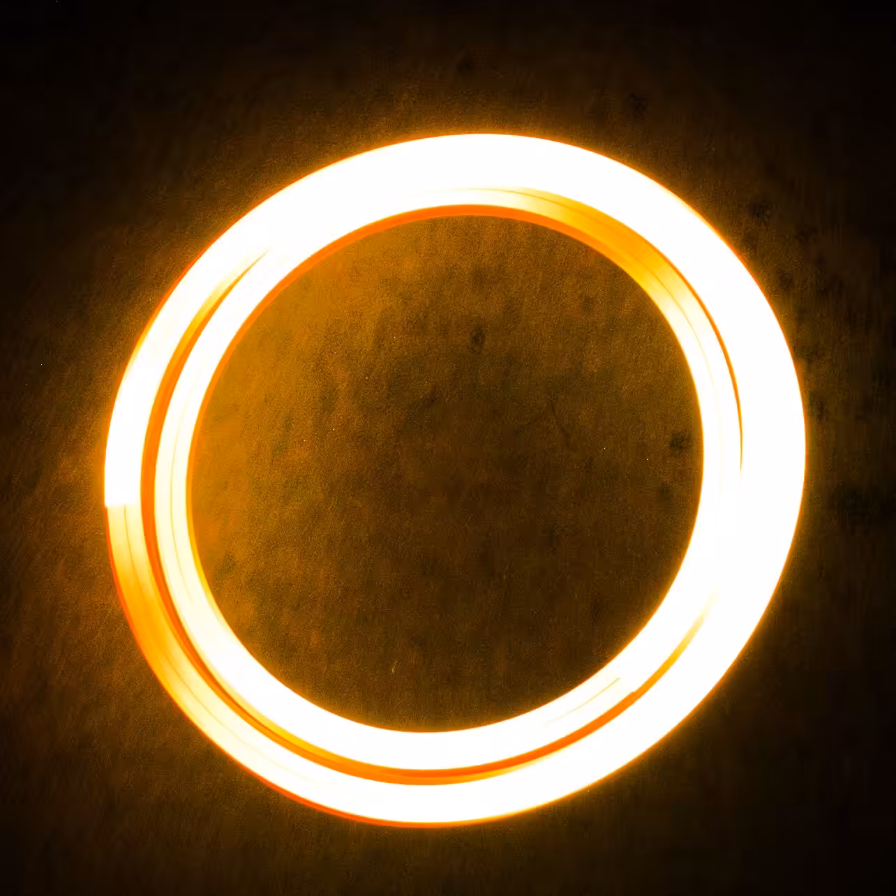 The One Ring