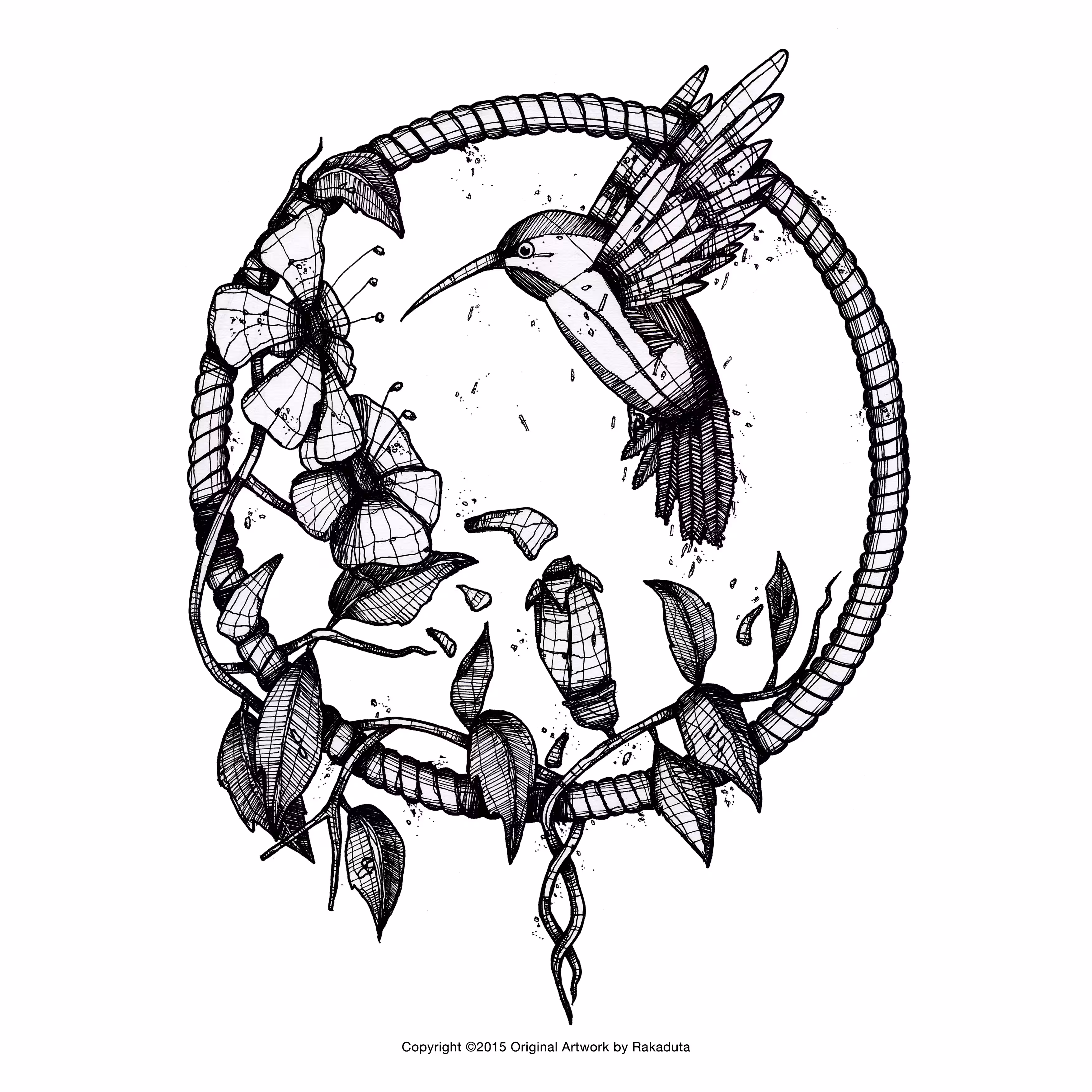 COLIBRI
