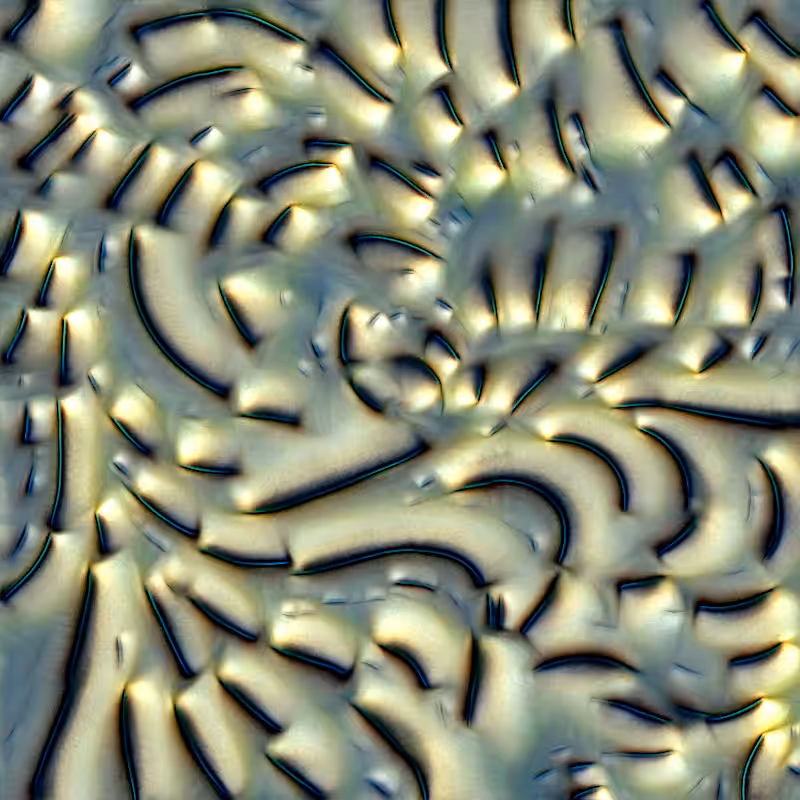 Genomes #2640