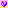 Flower 005