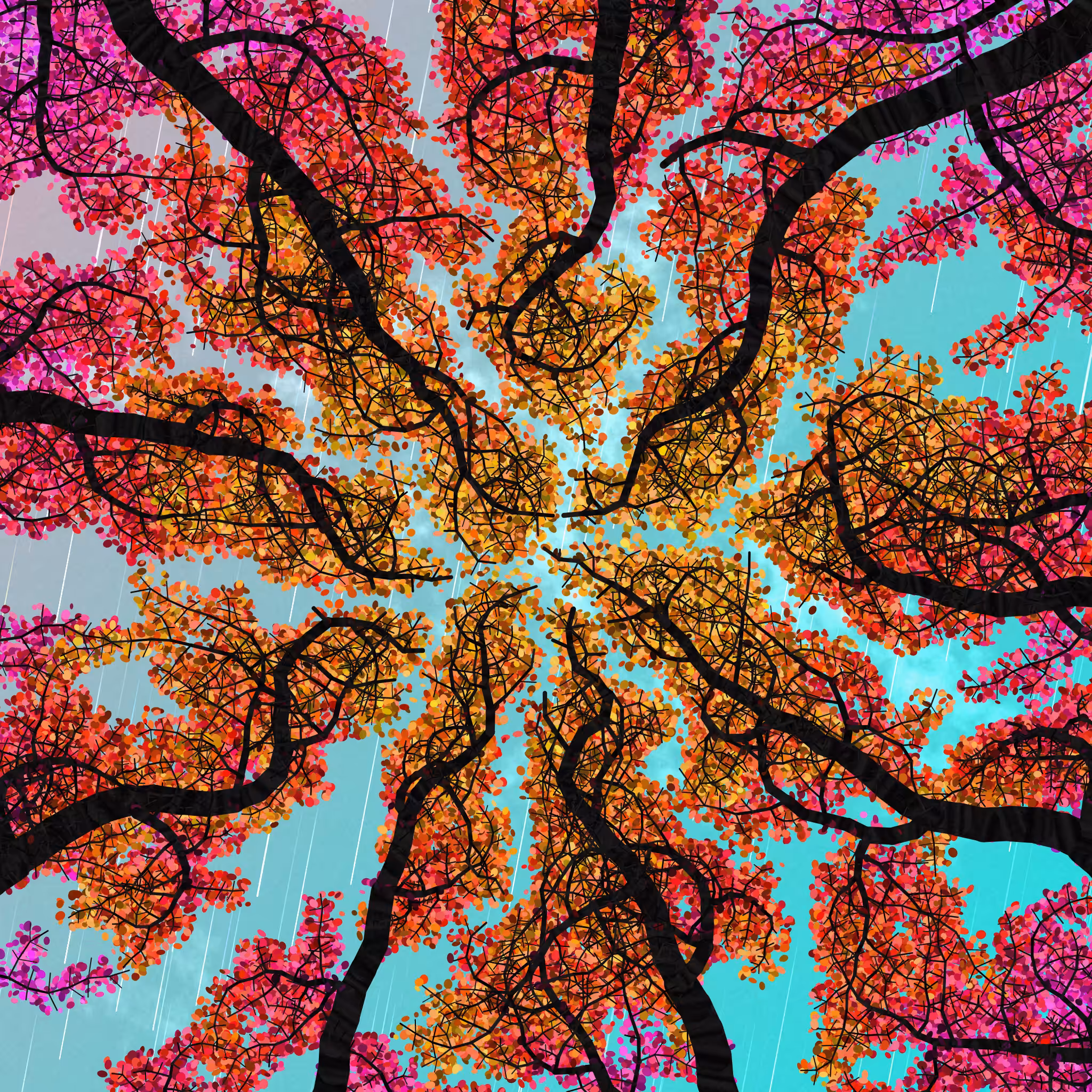 Tree Skyness #165