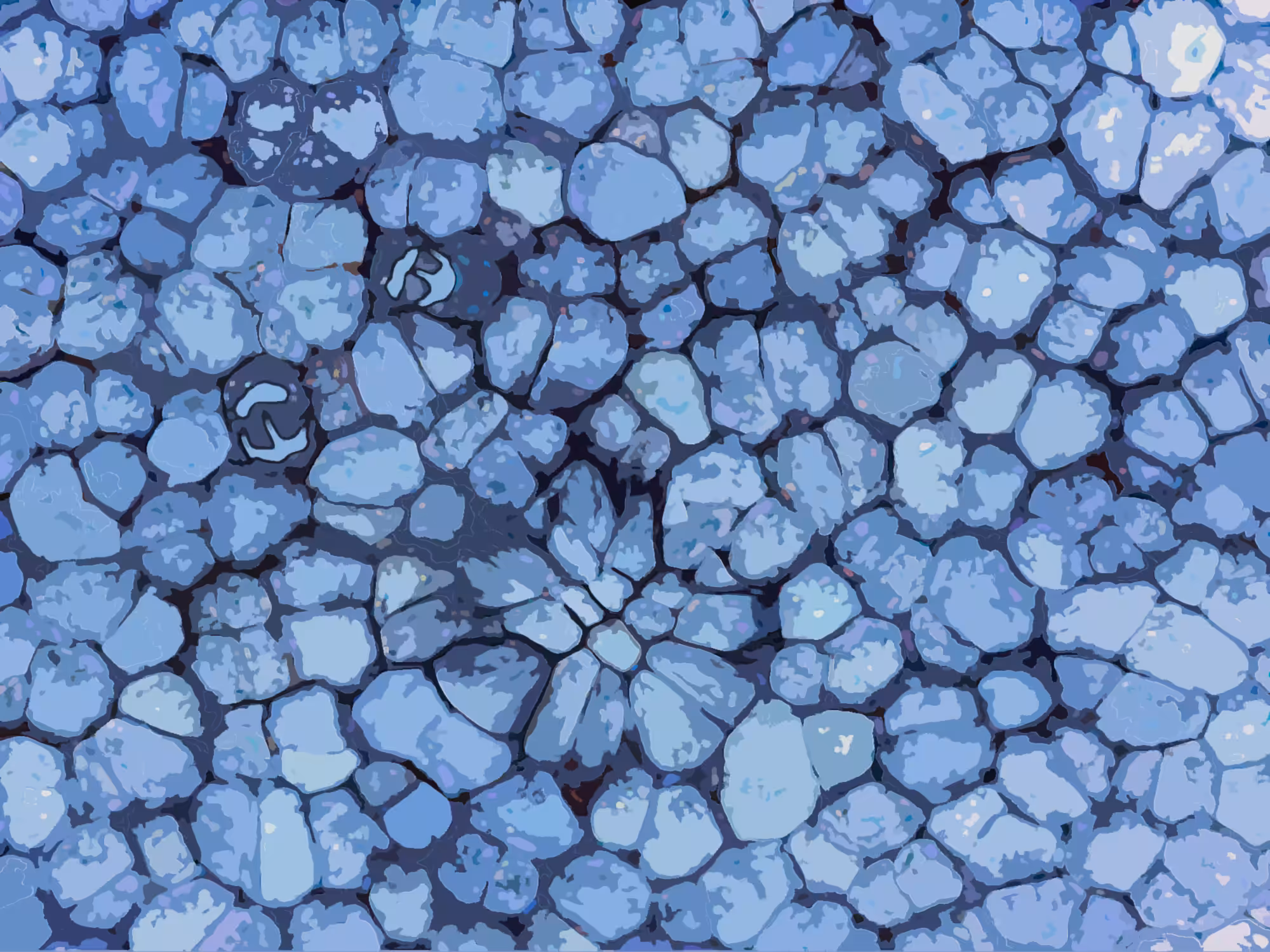The Face of the Microcosm #05