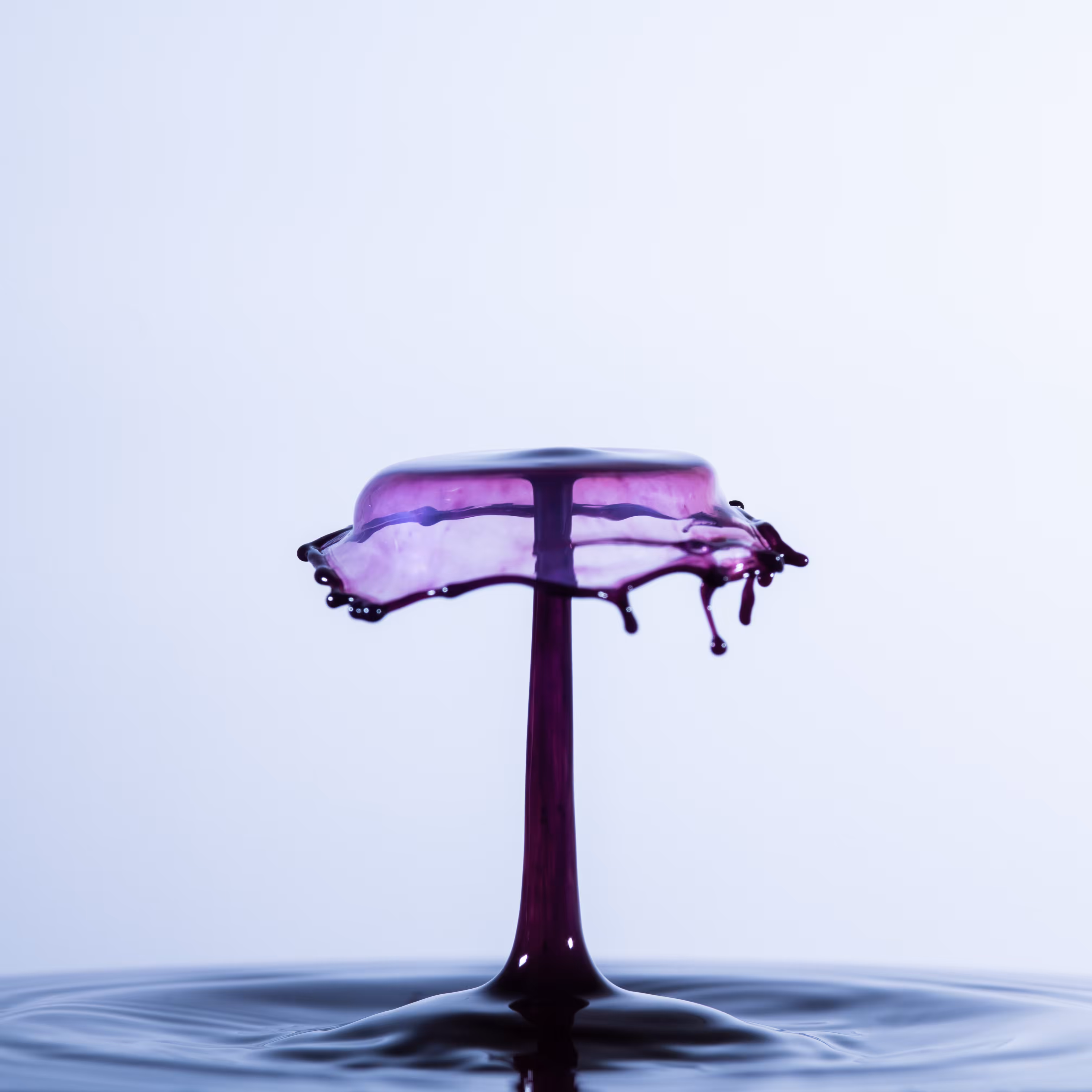 Splash of Colour #45