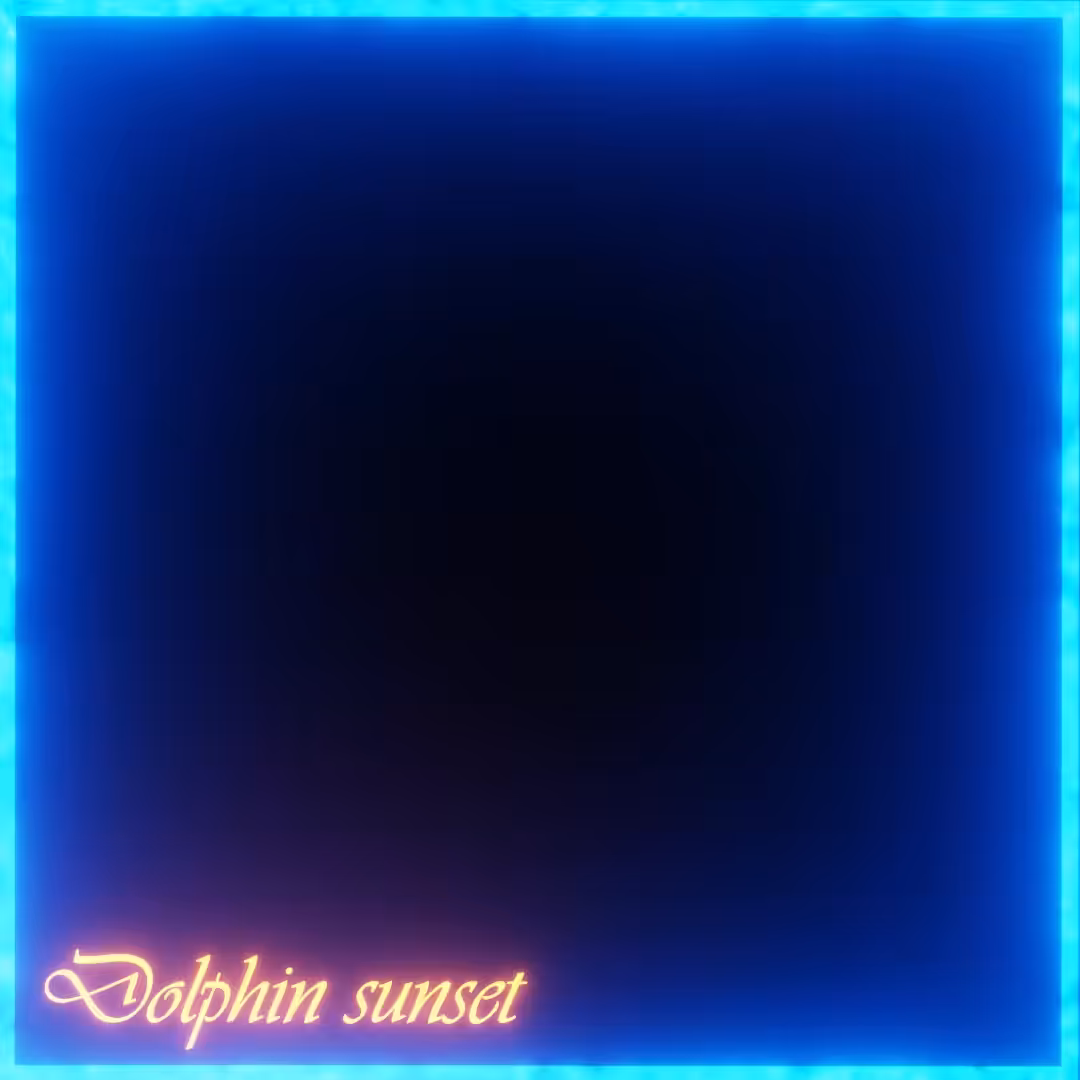 Dolphin sunset