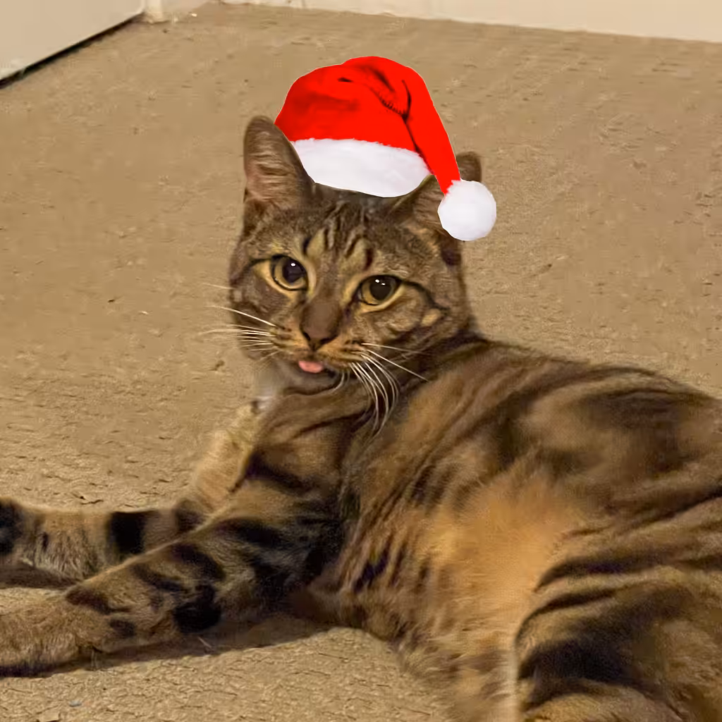 A Trip Dizzy Christmas
