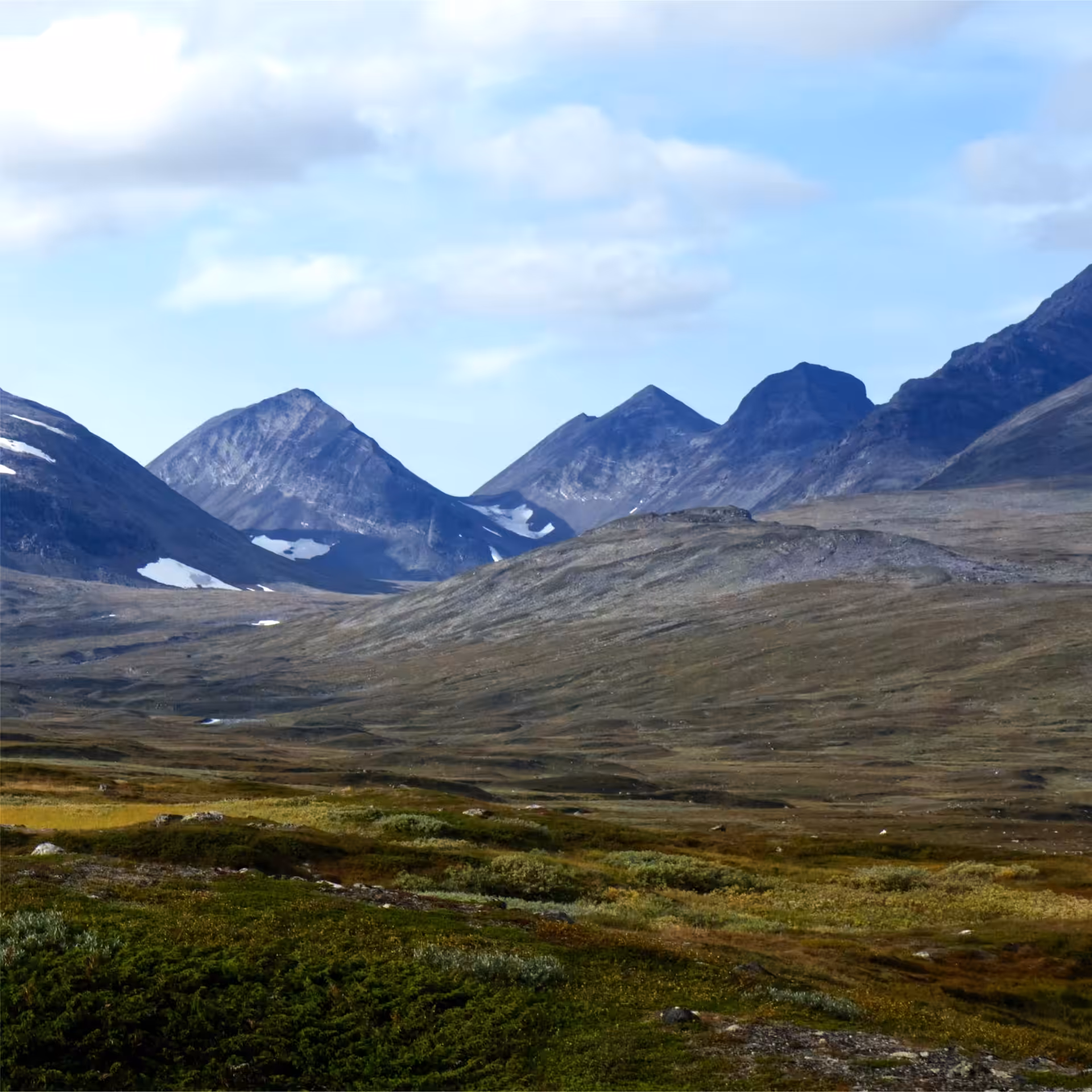 Fjällscape.8