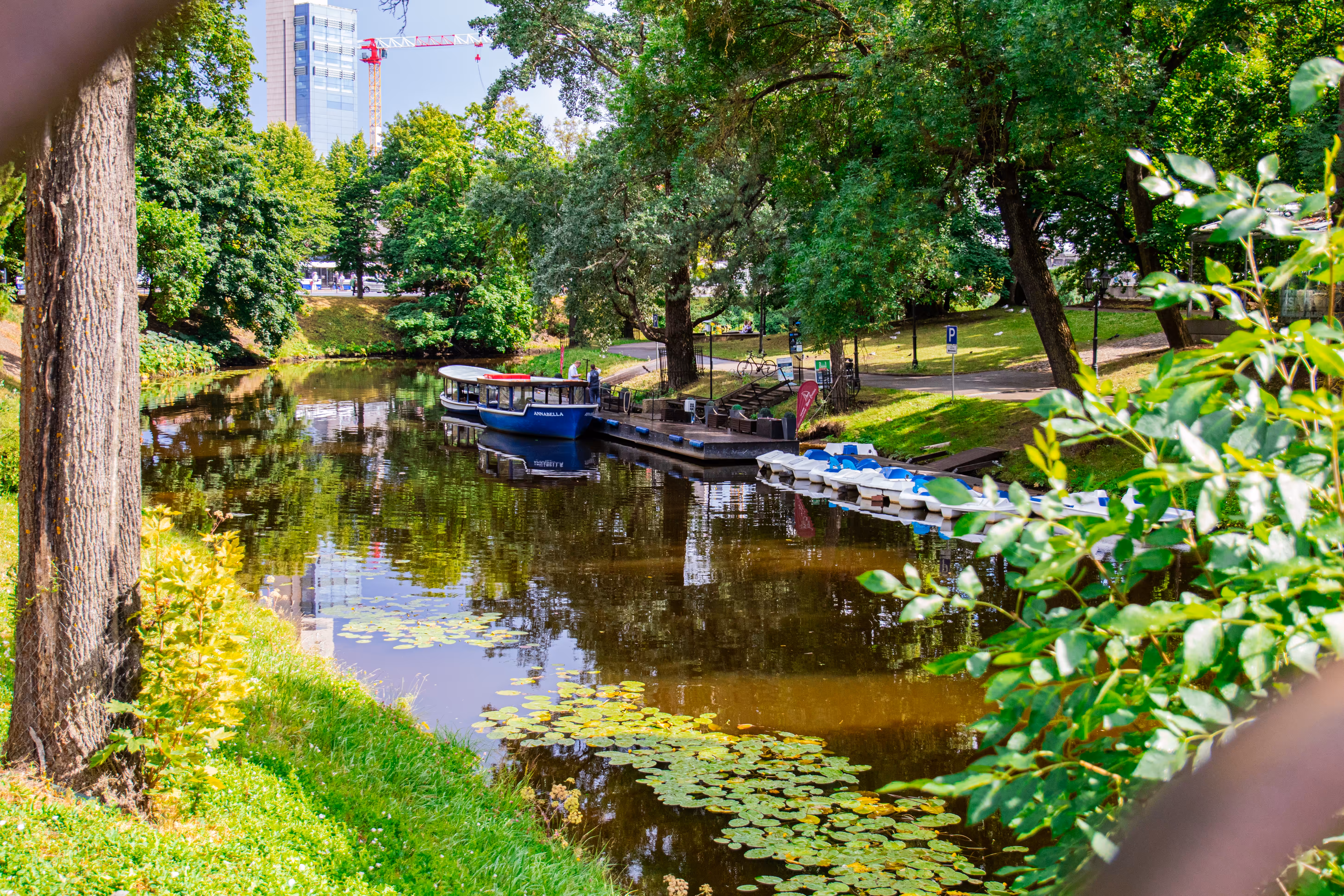 The River