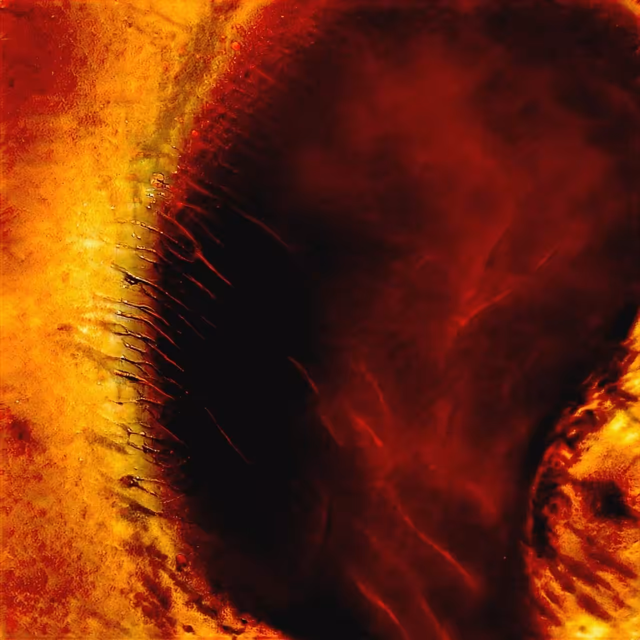Lucid: Nuée Ardente