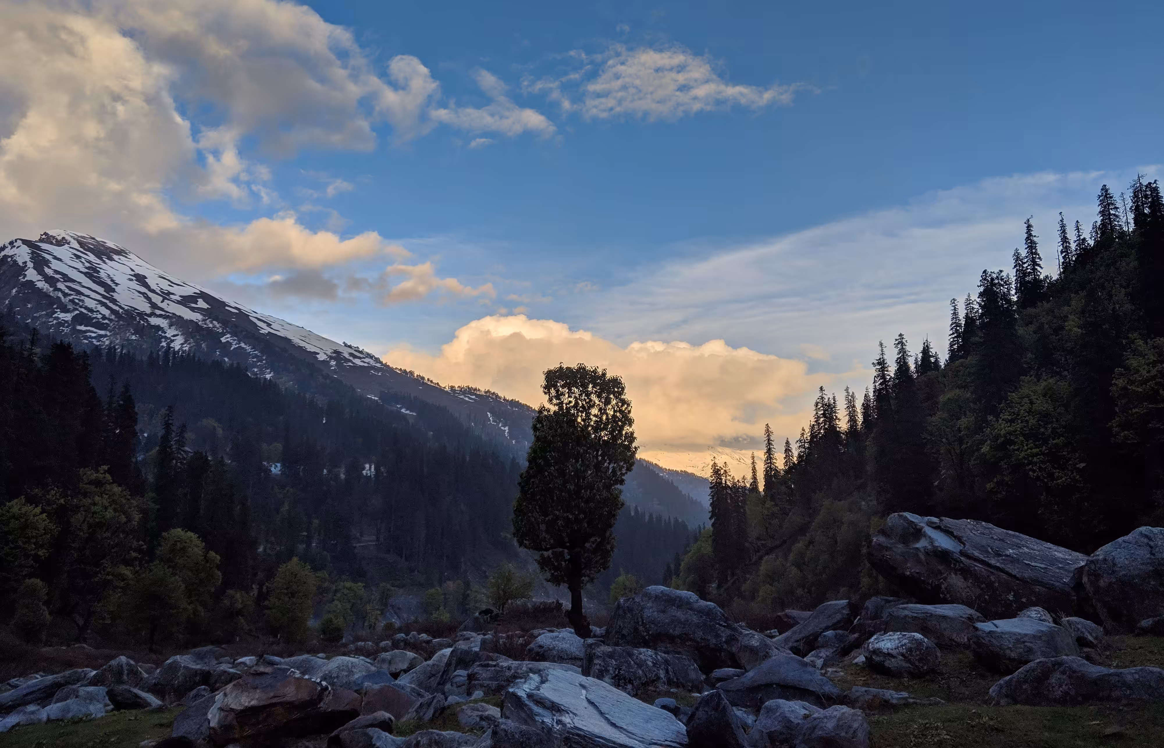 Quietude 