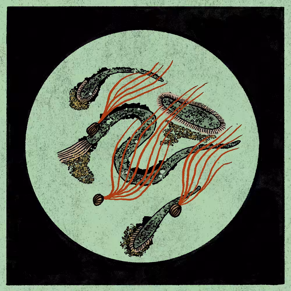 Microbes #40