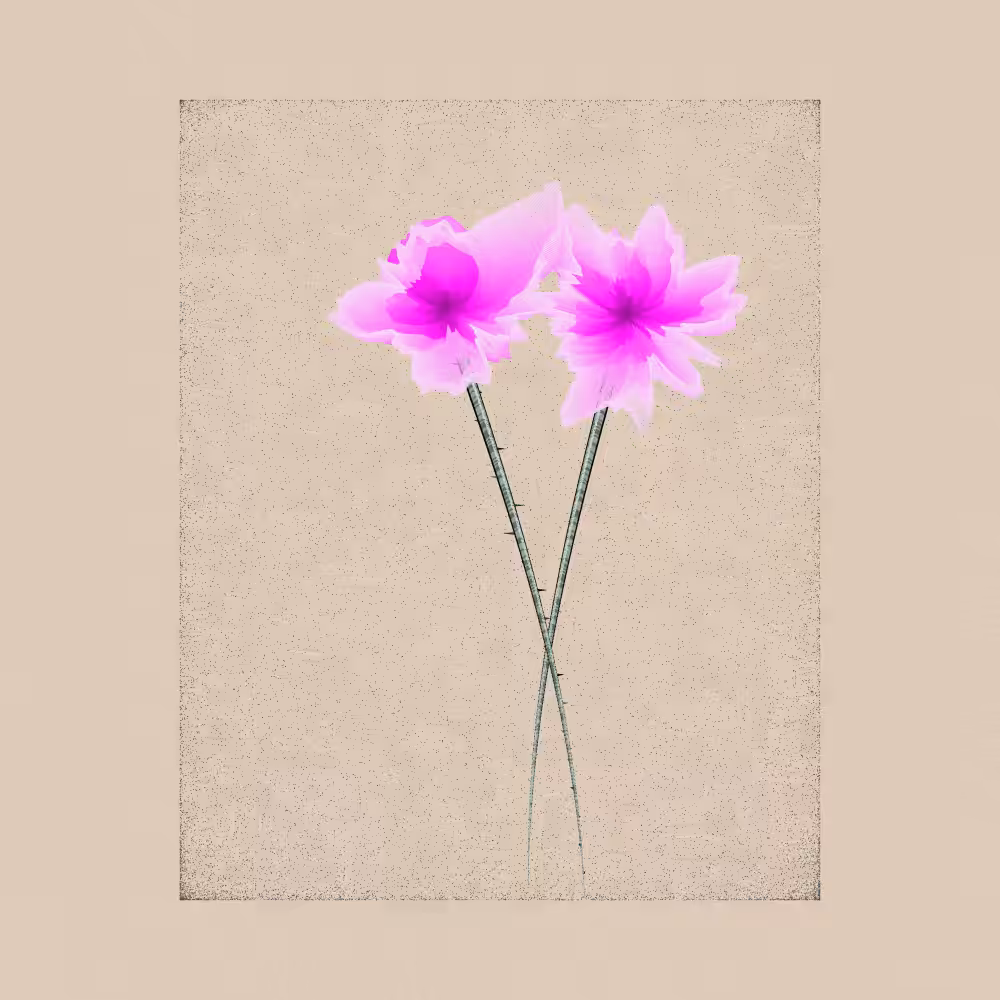 Magnolia #91