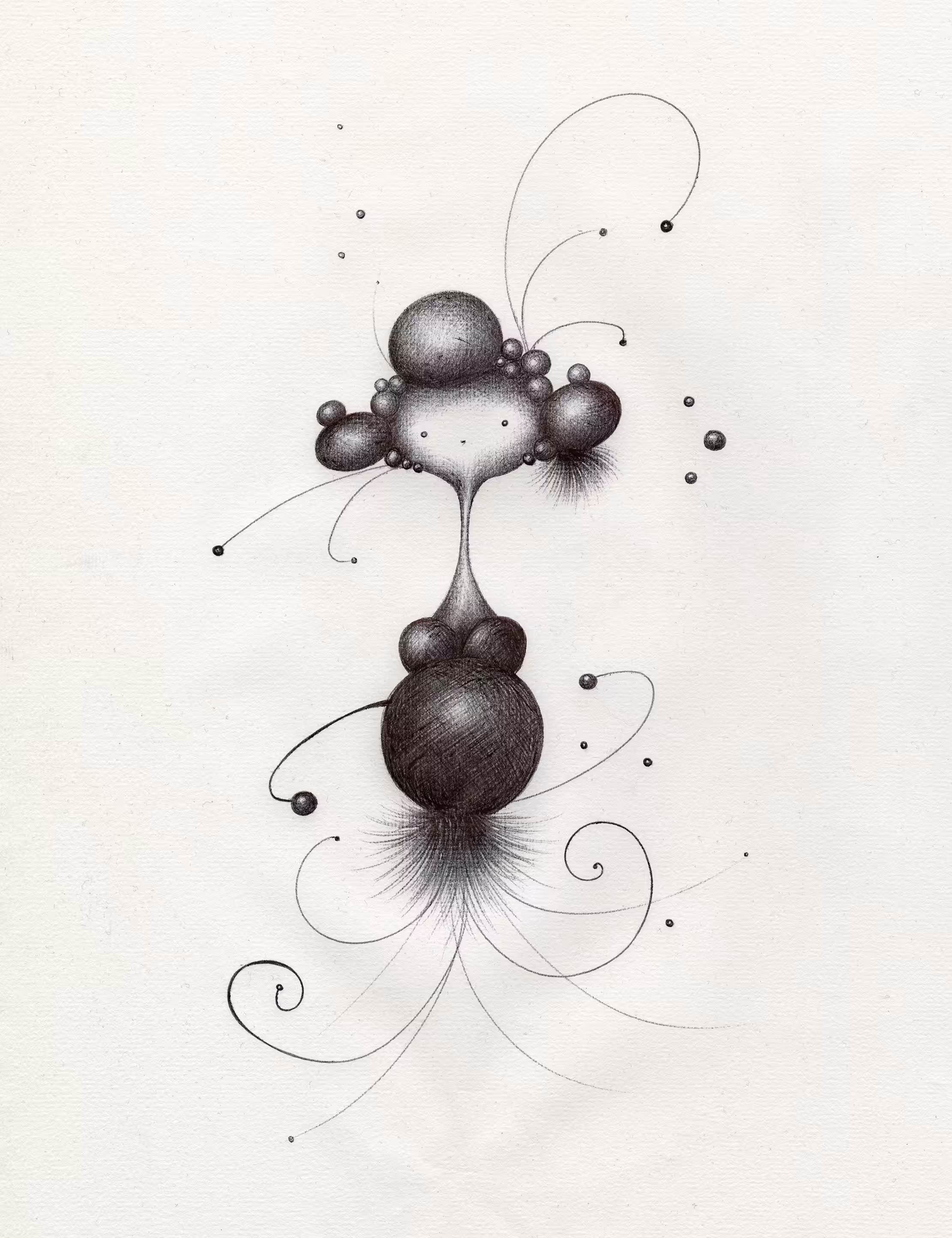 PARTICULA