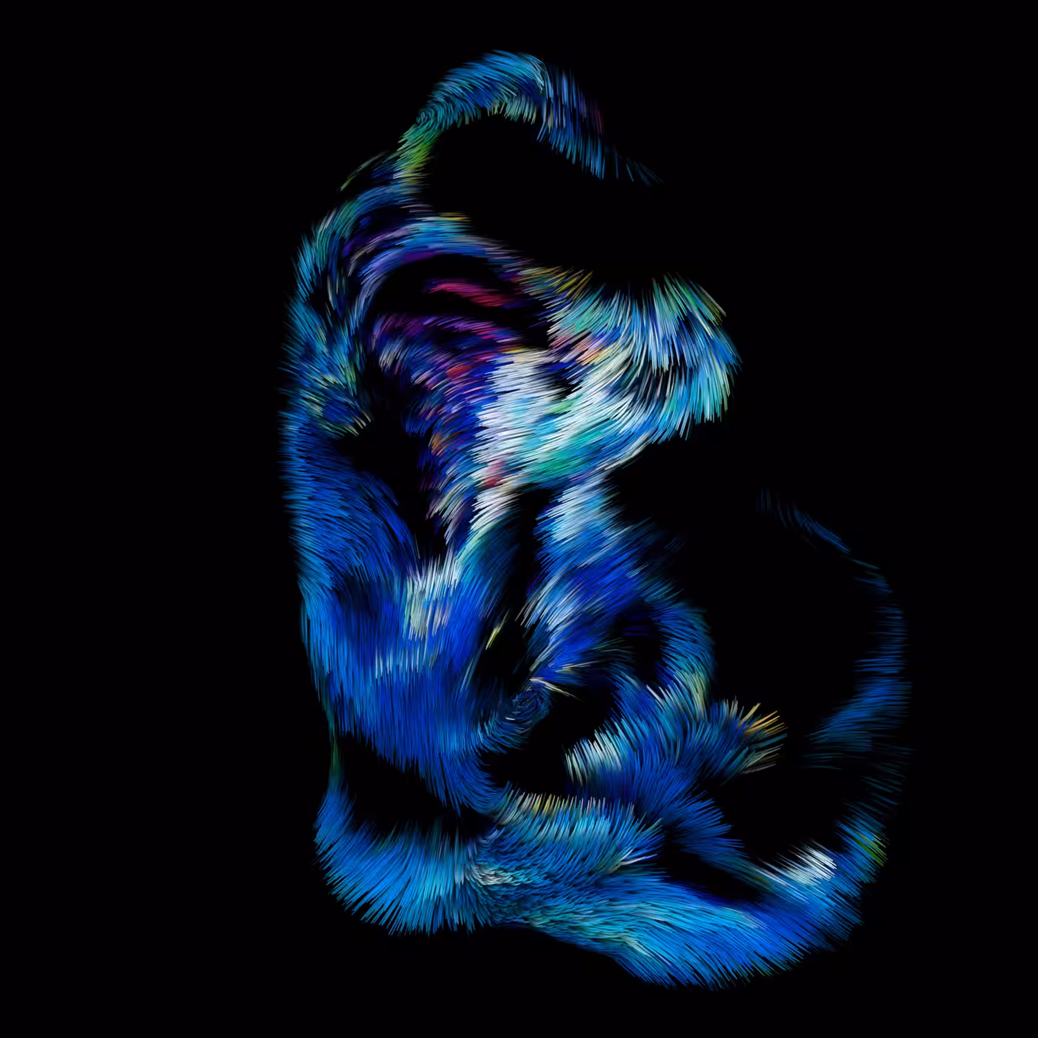 Holobiont I