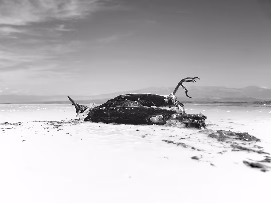 Lake Urmia #01