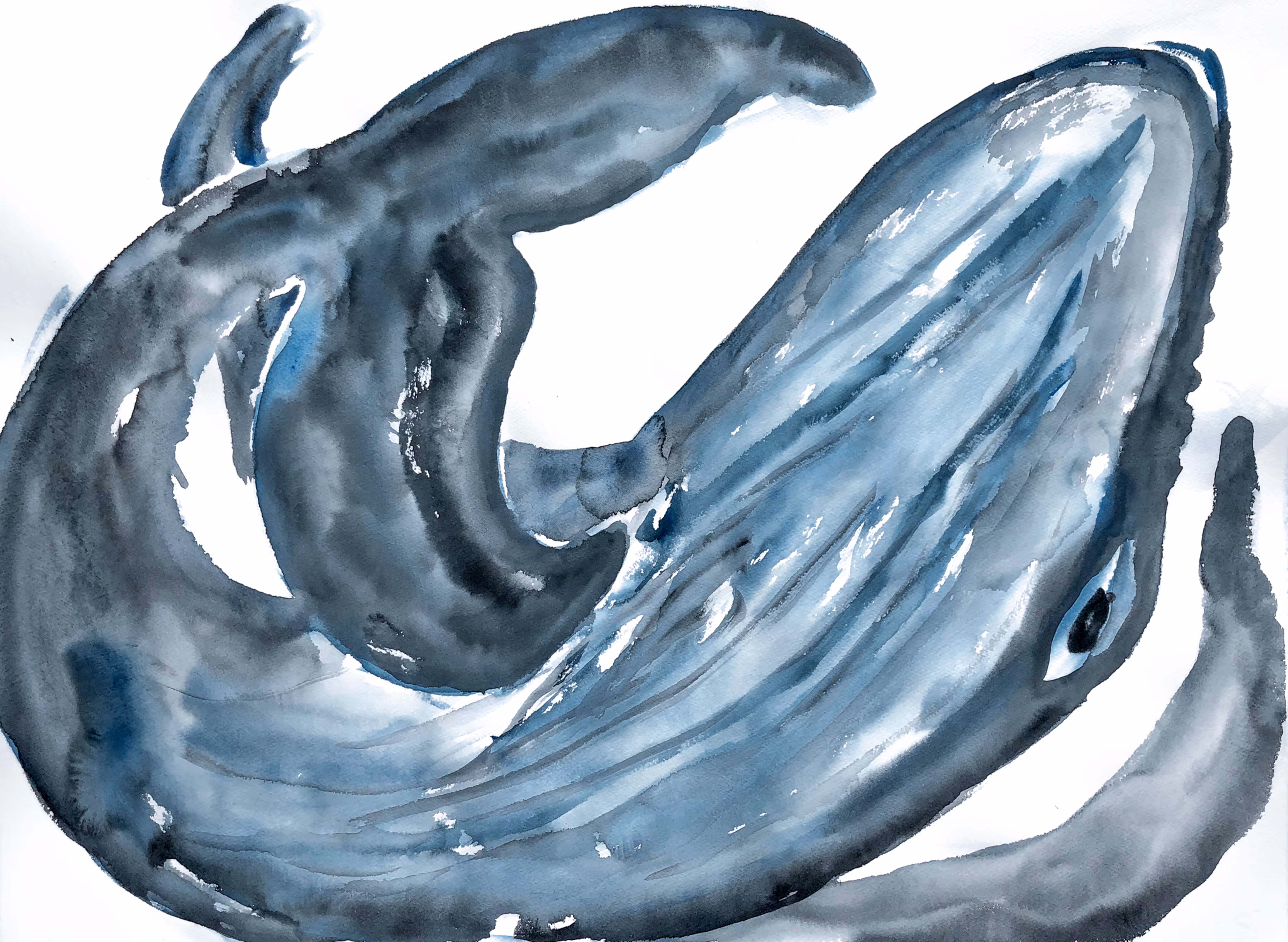 A Whale of a Time